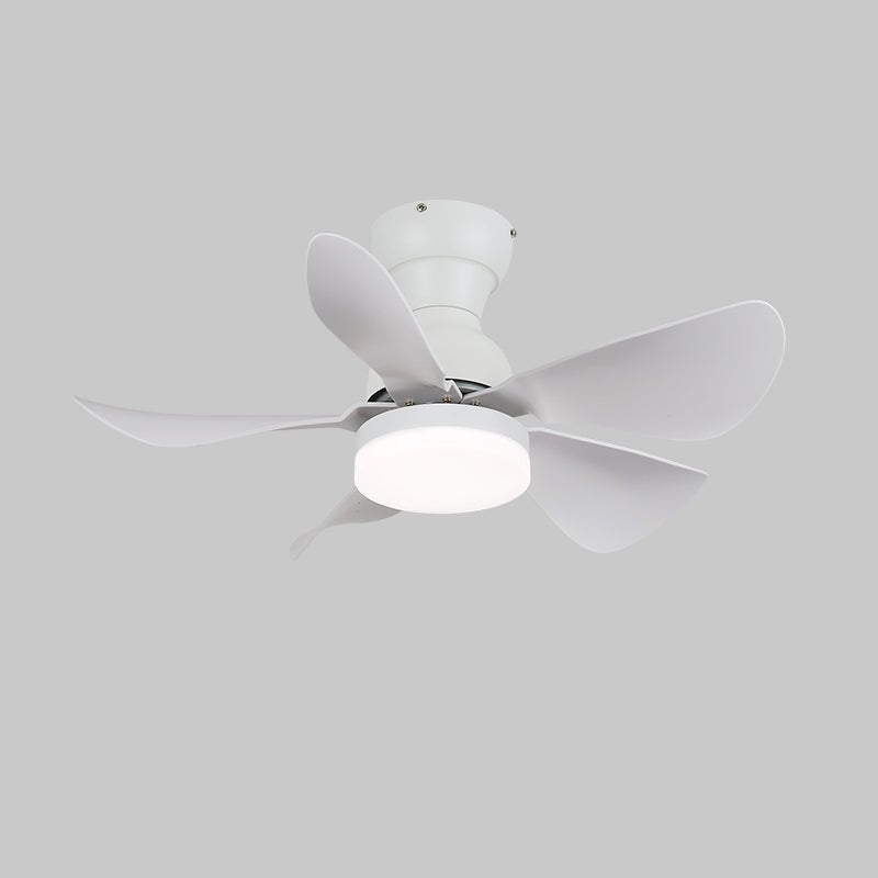 Small Arilia 29 Ceiling Fan Light