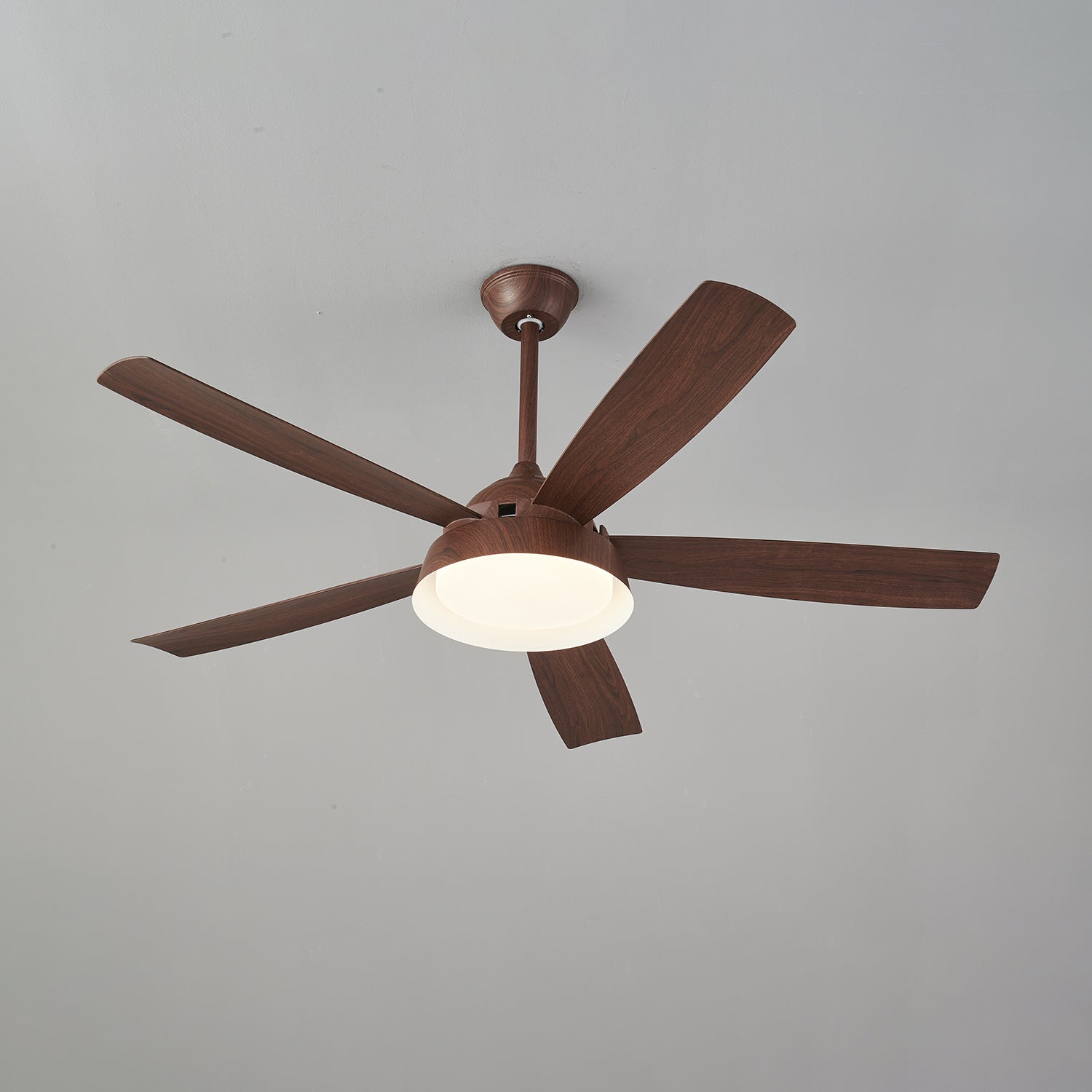 Elysian Ceiling Fan Light