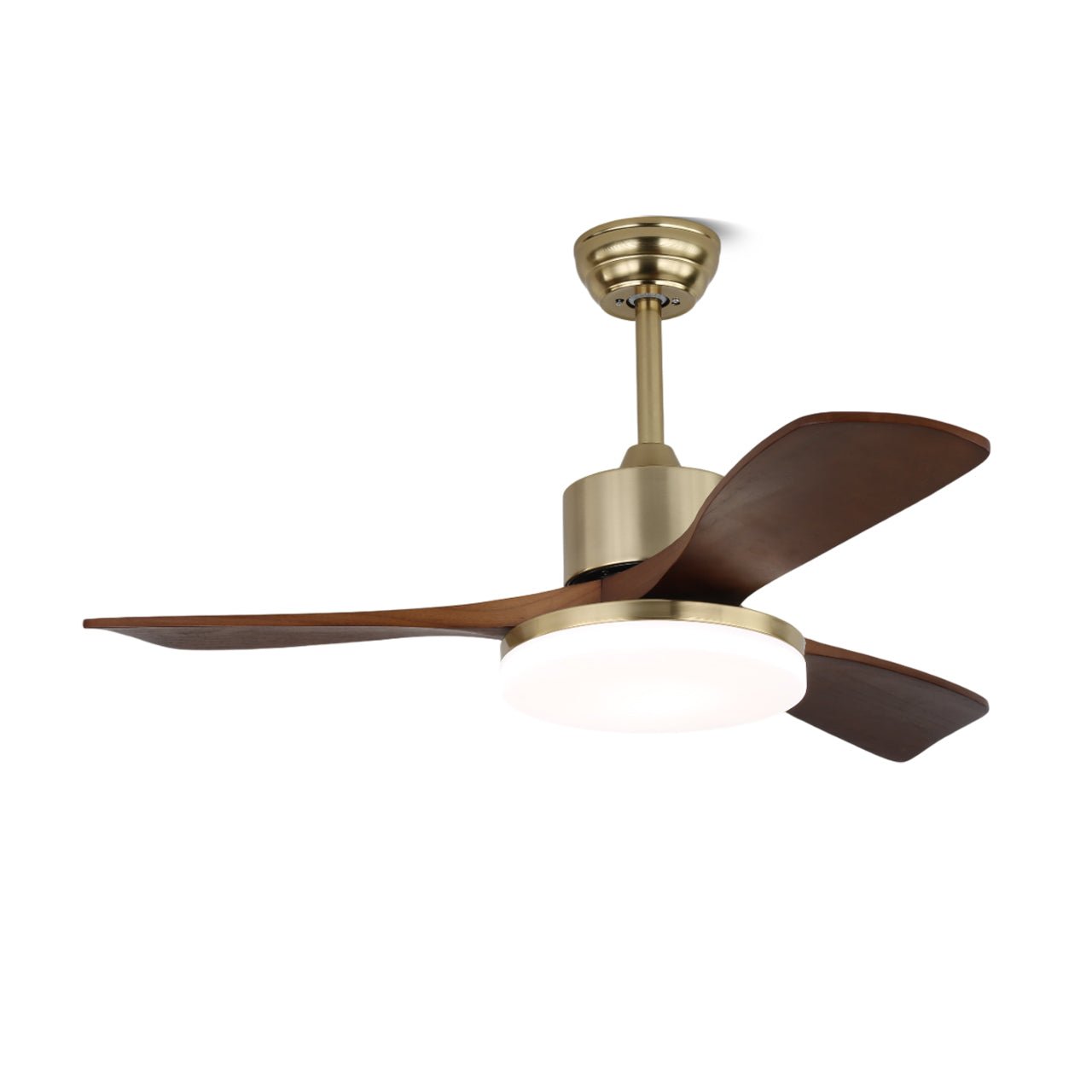 Vega Ceiling Fan Light