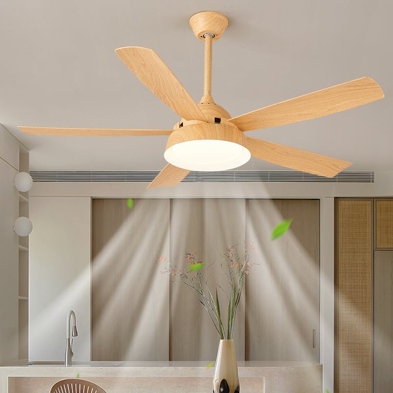 Elysian Ceiling Fan Light