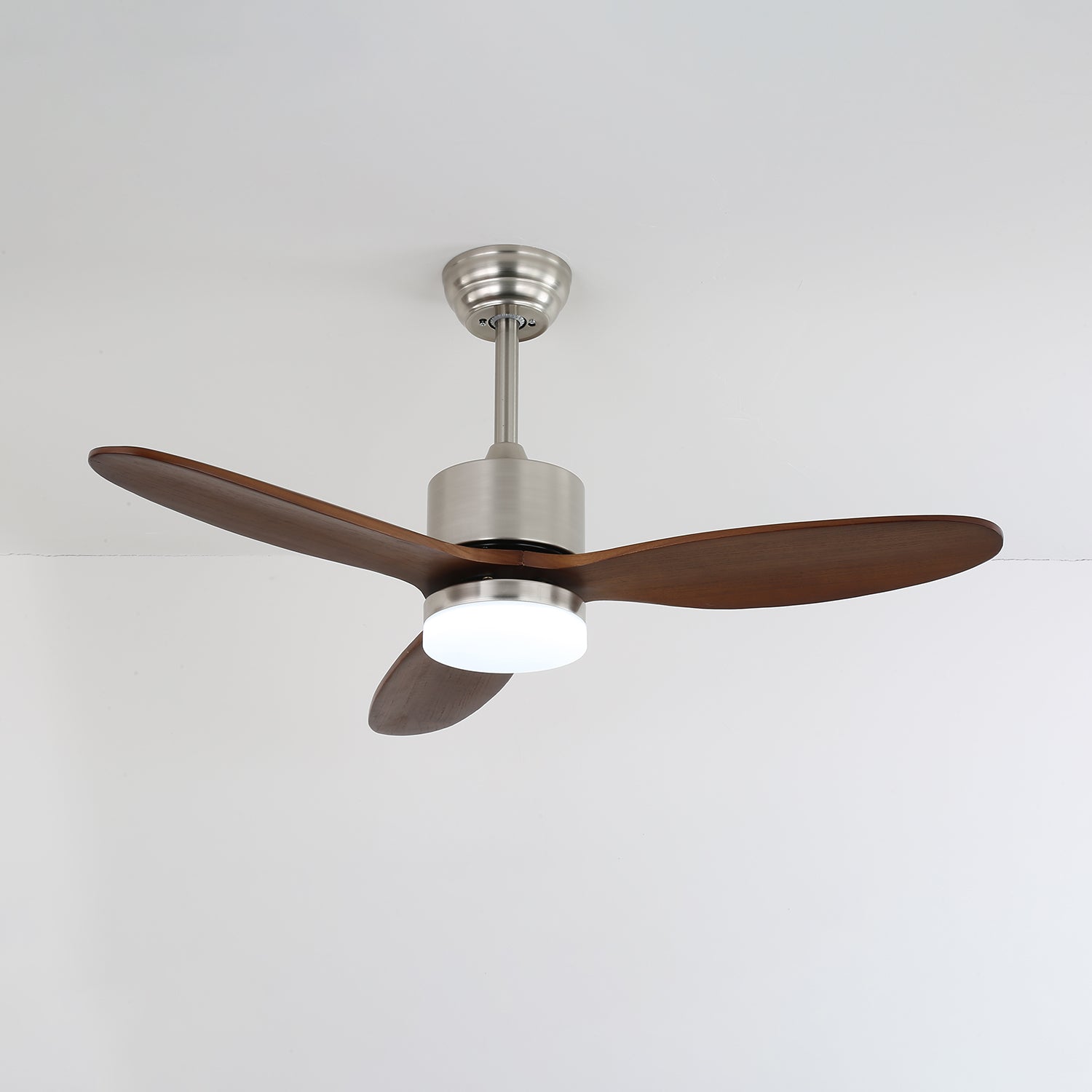 Polaris Ceiling Fan Light