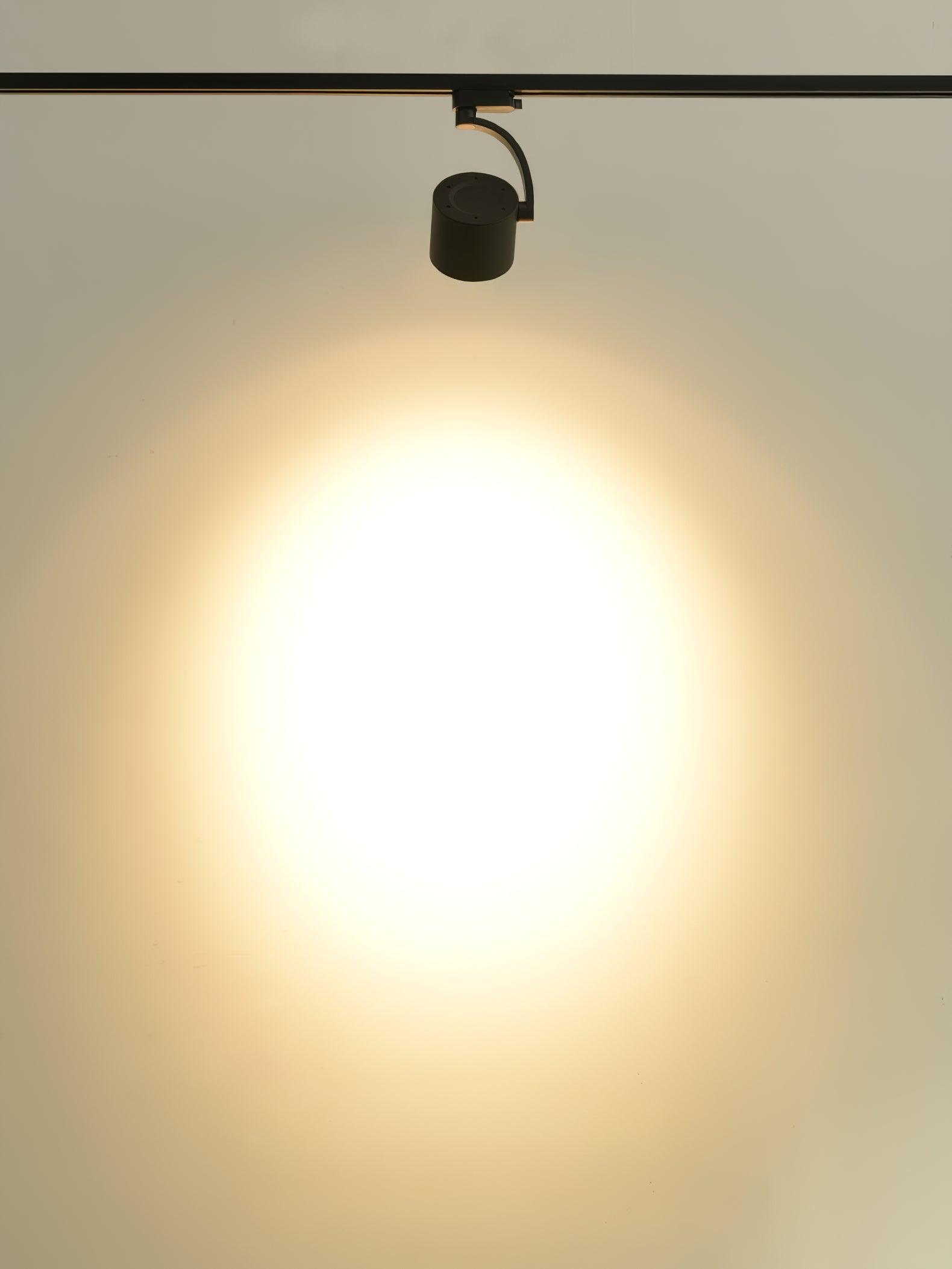 Paloma Ceiling Light