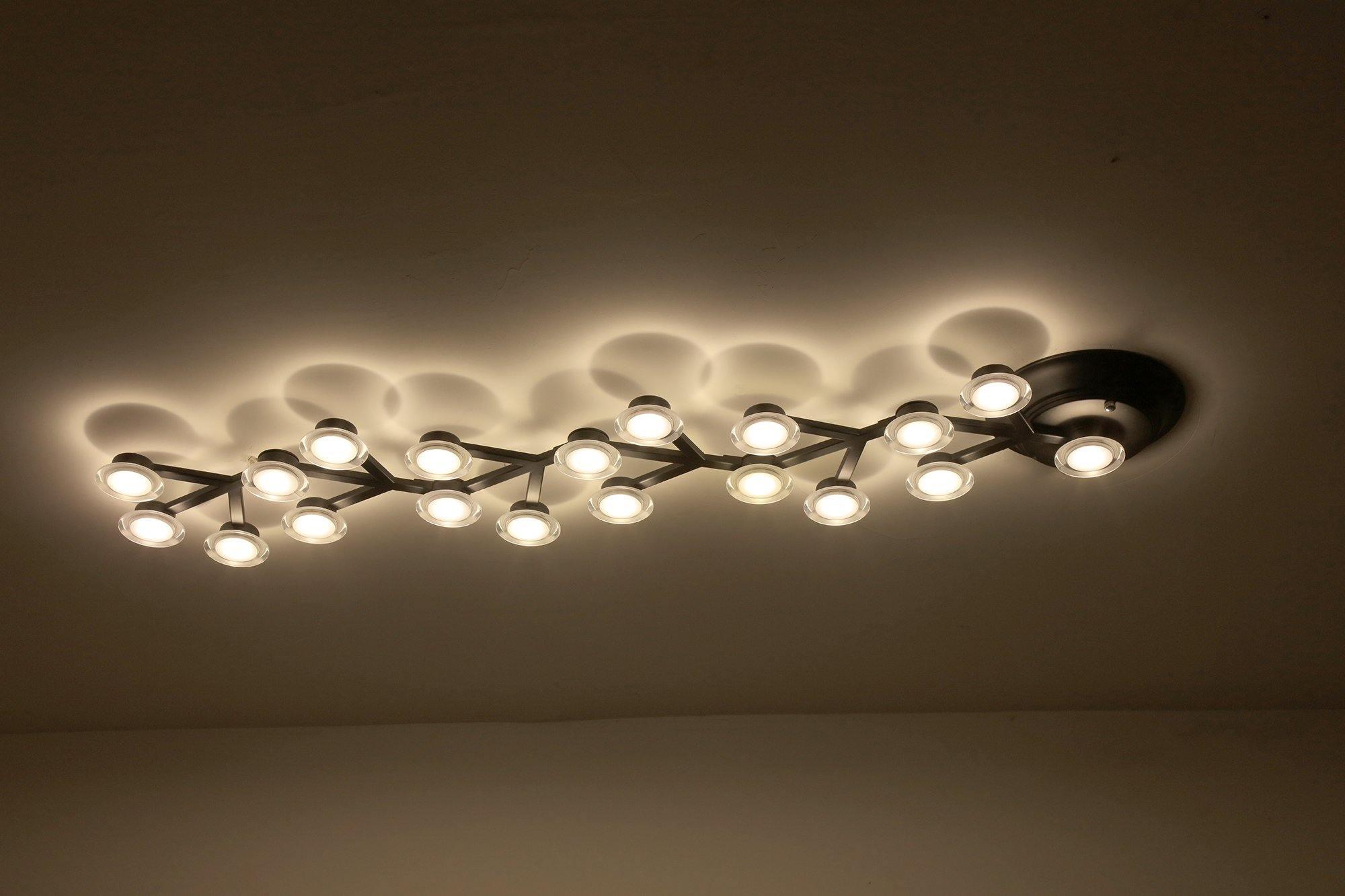 LED Net Ceiling Lamp