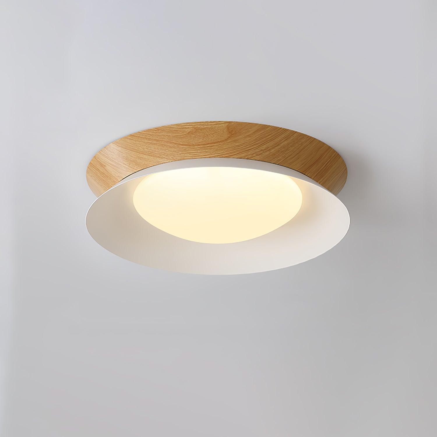 Double Half Round Ceiling Light