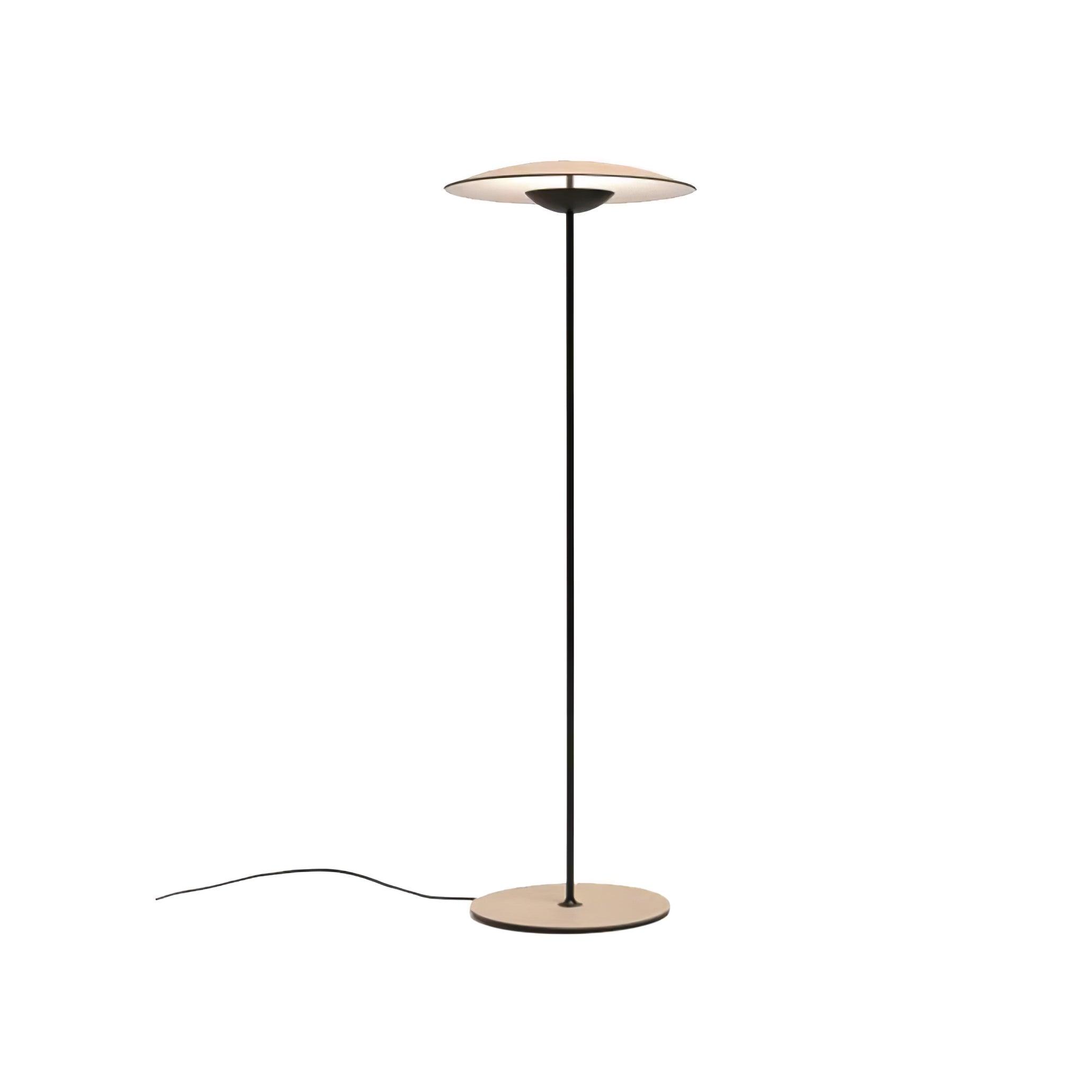 Innovative Directional Floor Lamp