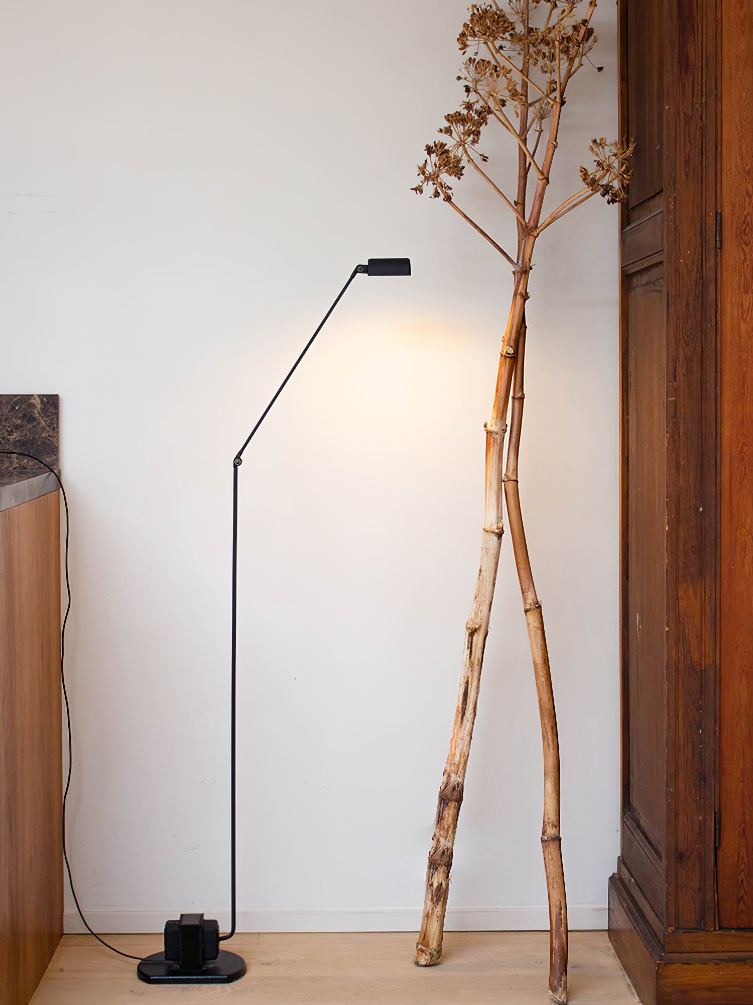 Dynamo Floor Lamp