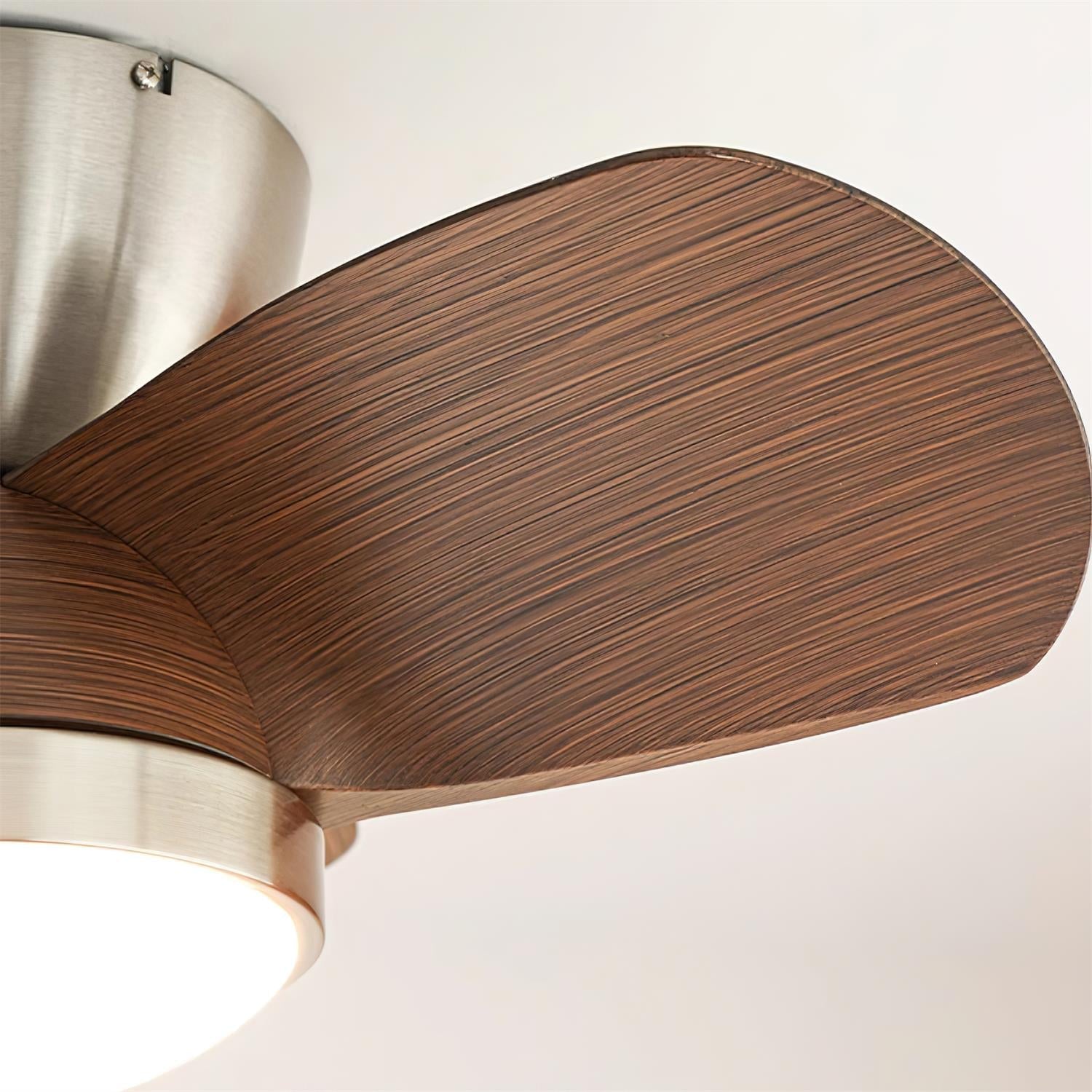 Talaya Ceiling Fan Light