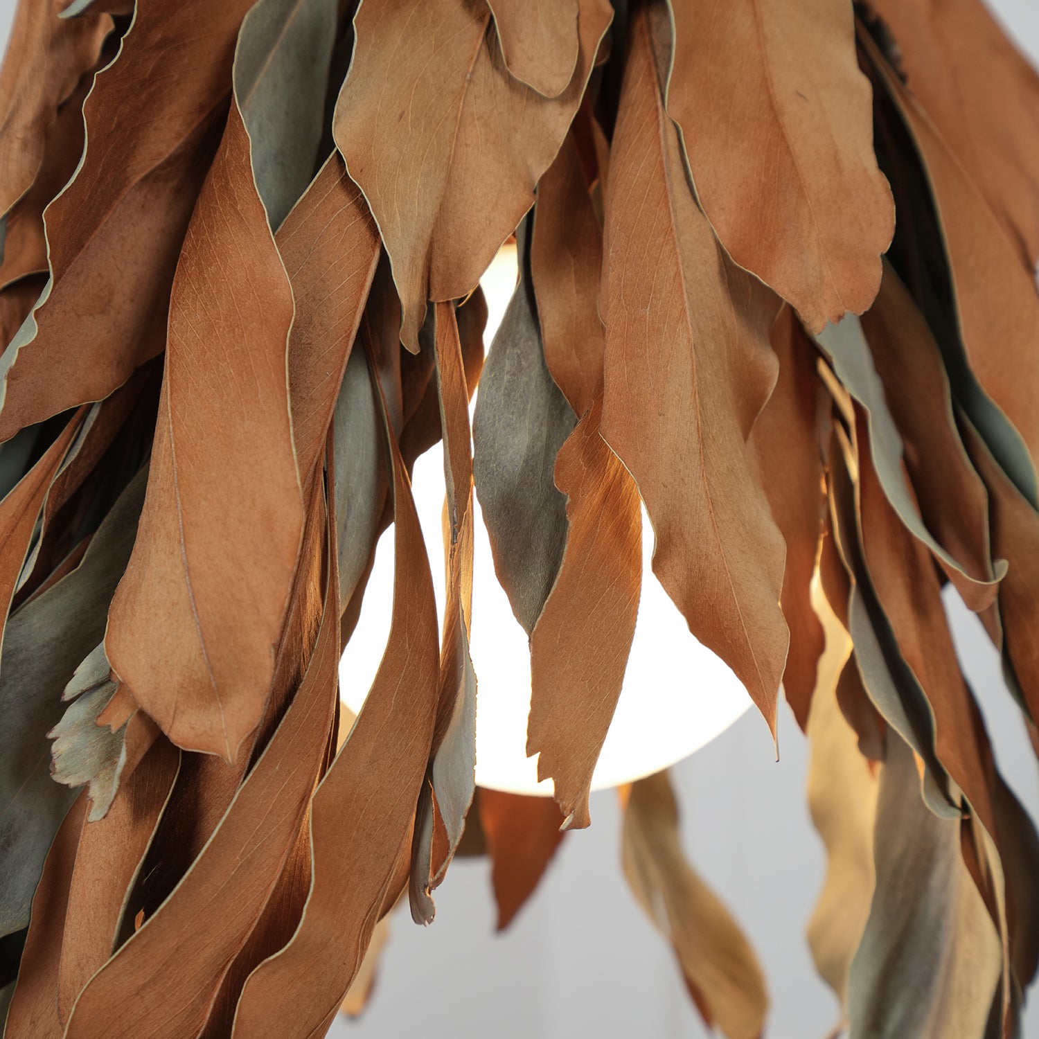 Dried Branch Leaf Pendant Lamp