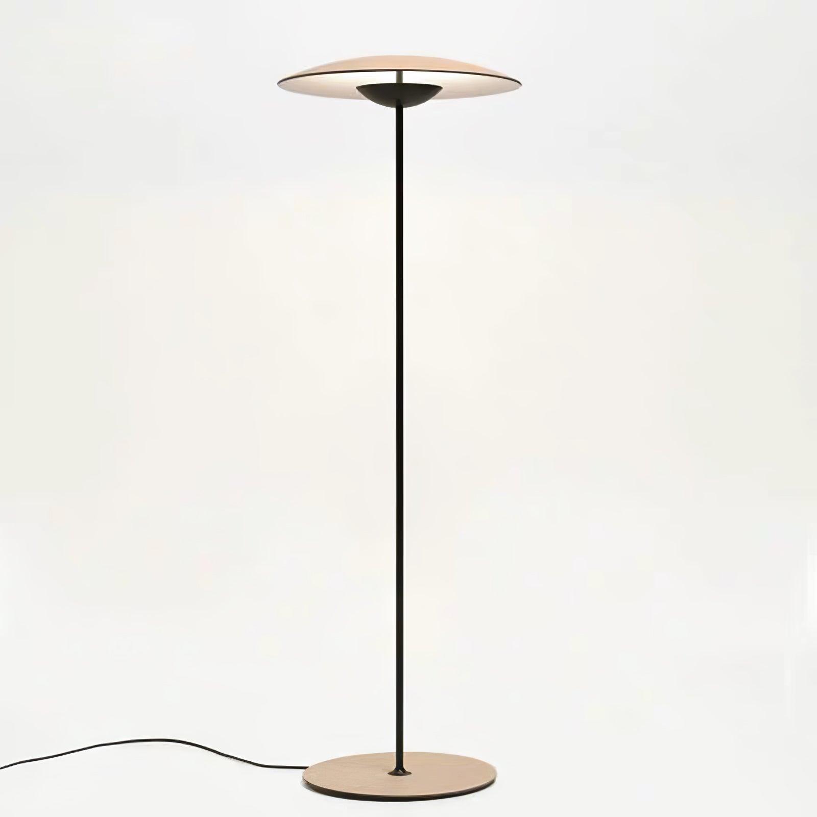 Innovative Directional Floor Lamp