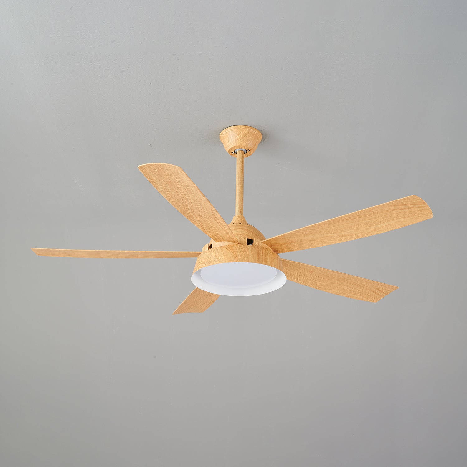 Elysian Ceiling Fan Light