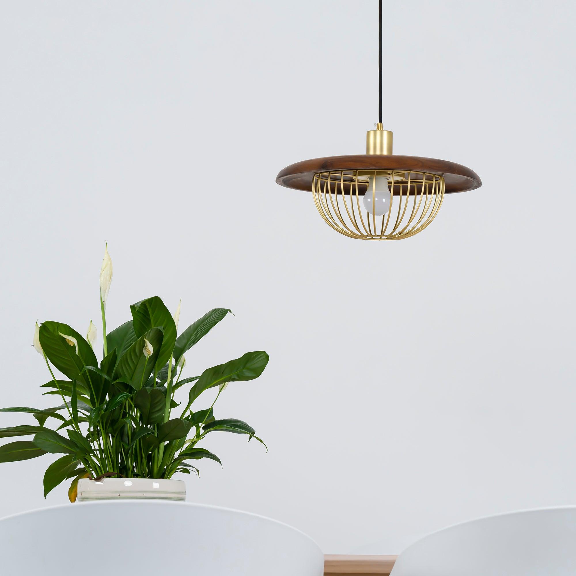 Kasa Pendant Lamp