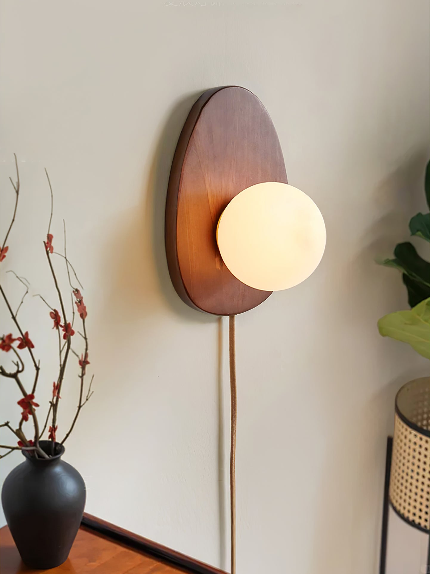 Orba Walnut Plug-in Wall Lamp