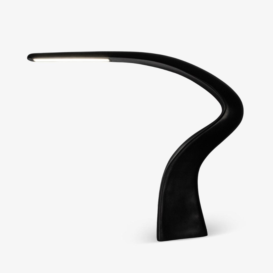 Seraph Curve Floor Lamp