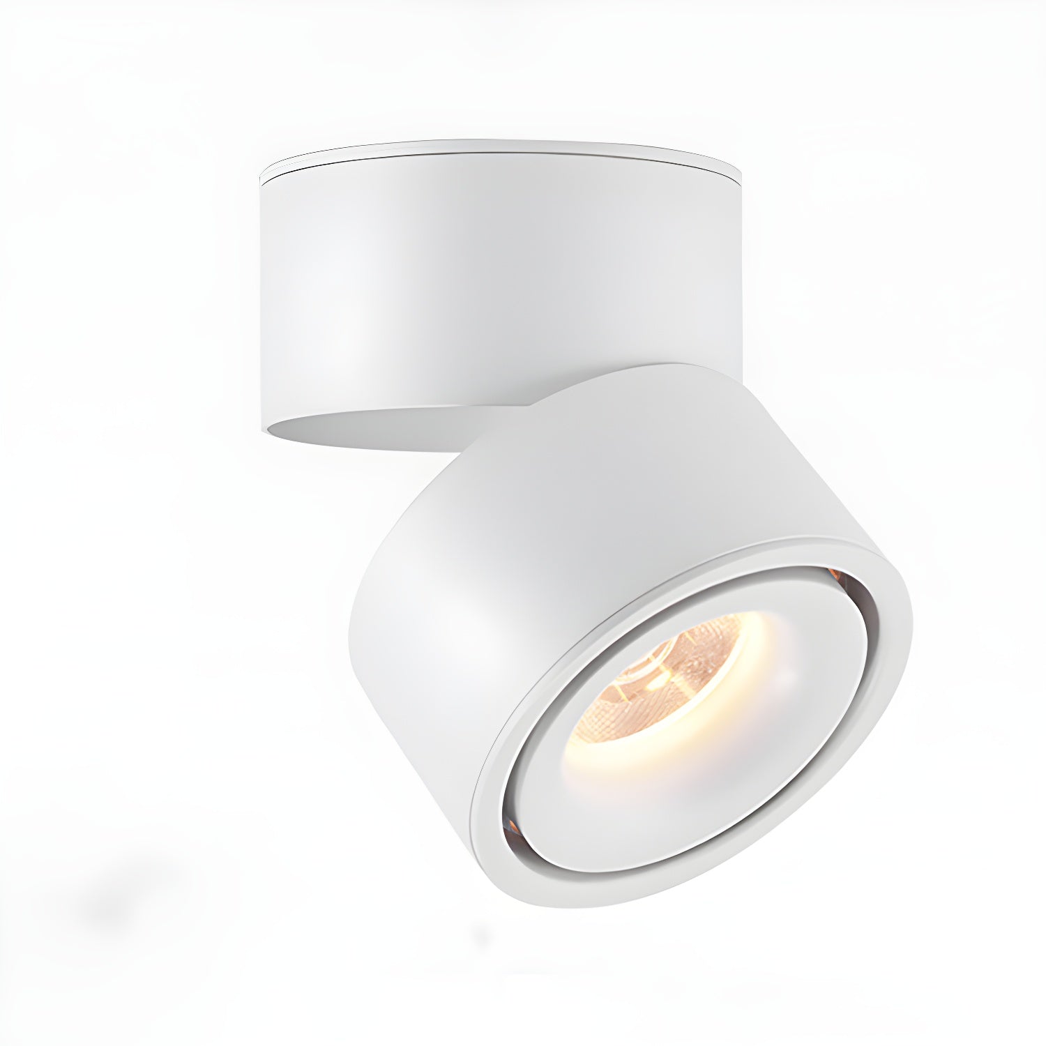 Rotatable Spotlight Ceiling Light