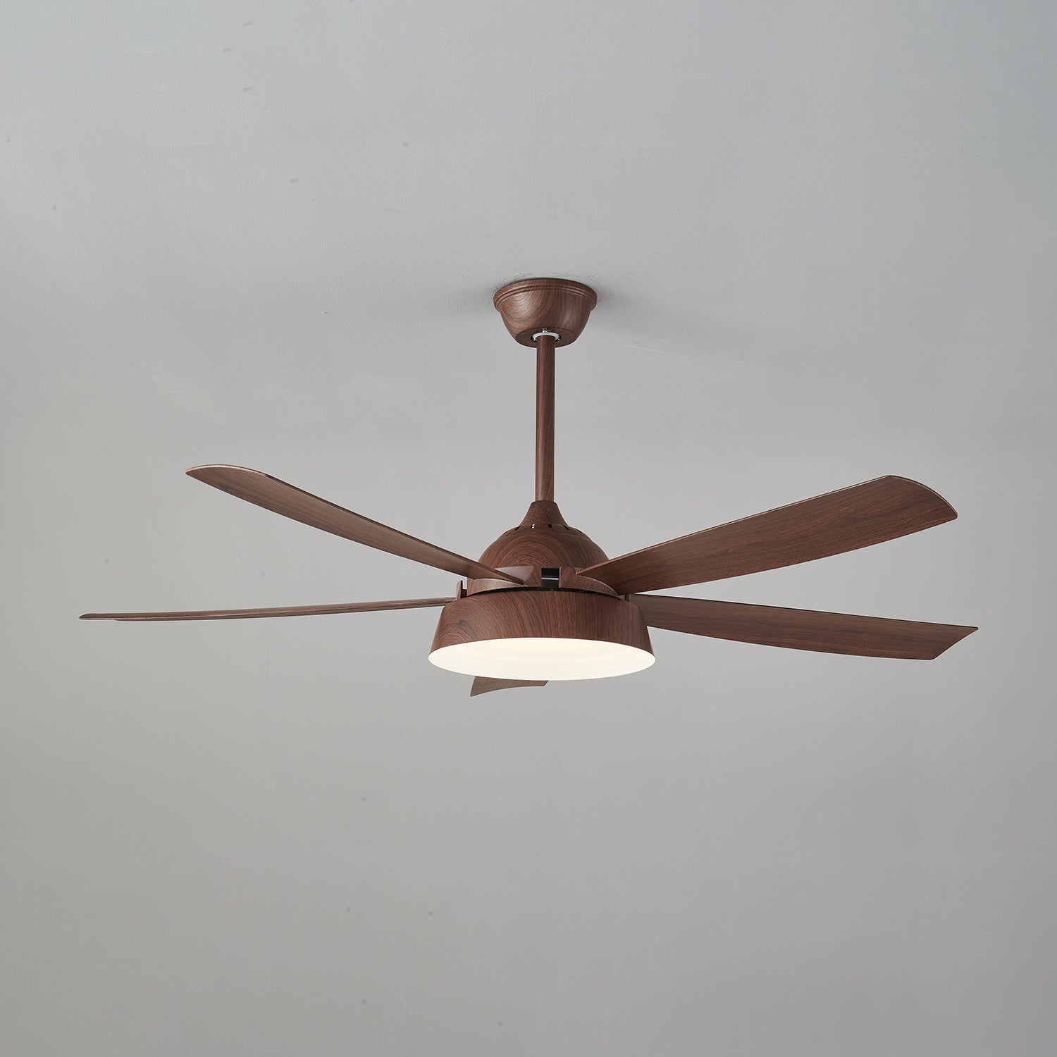 Elysian Ceiling Fan Light