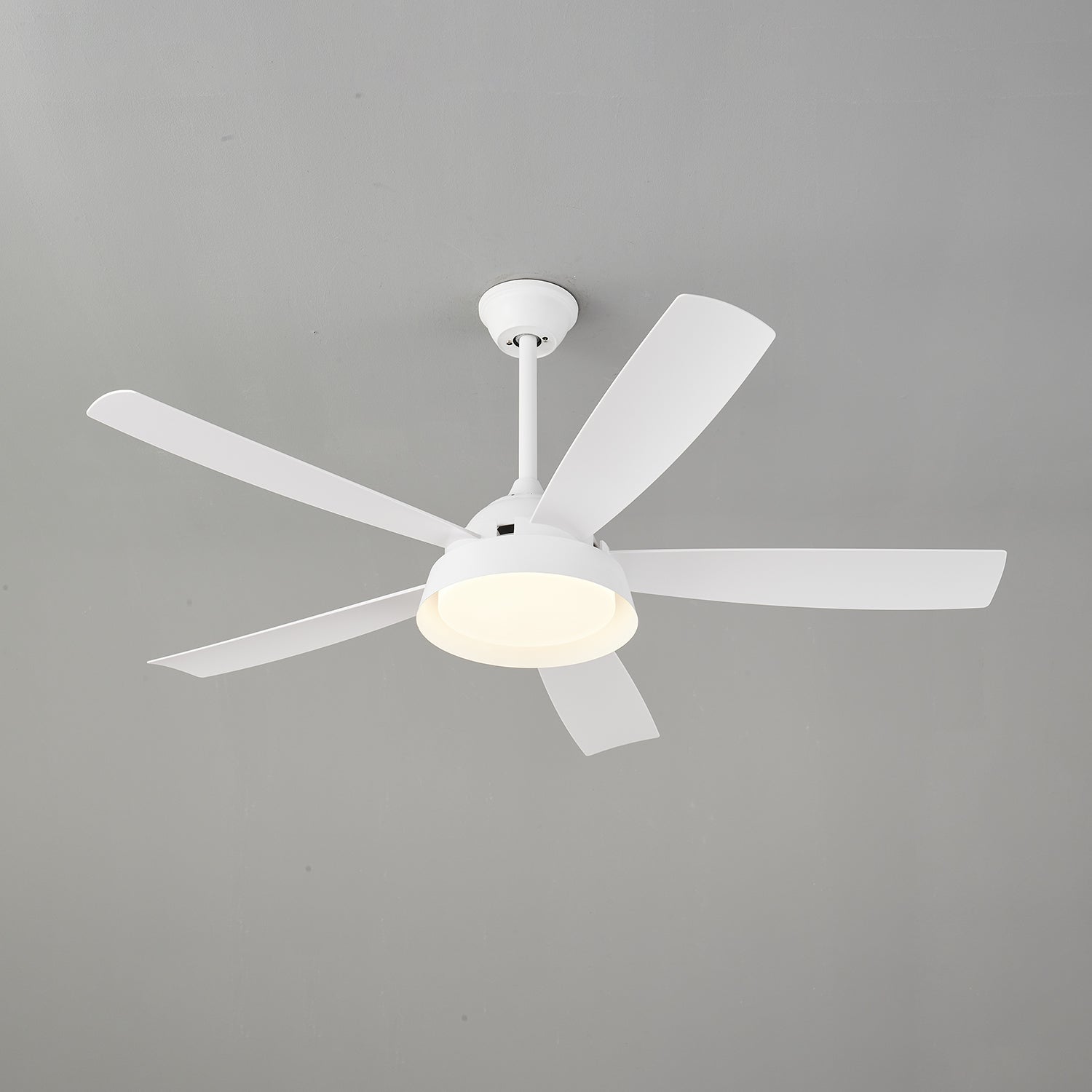 Elysian Ceiling Fan Light