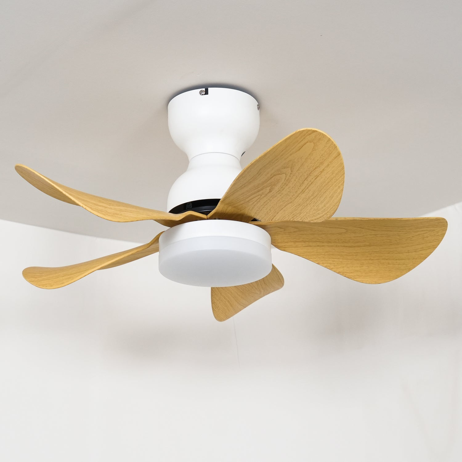 Small Arilia 29 Ceiling Fan Light