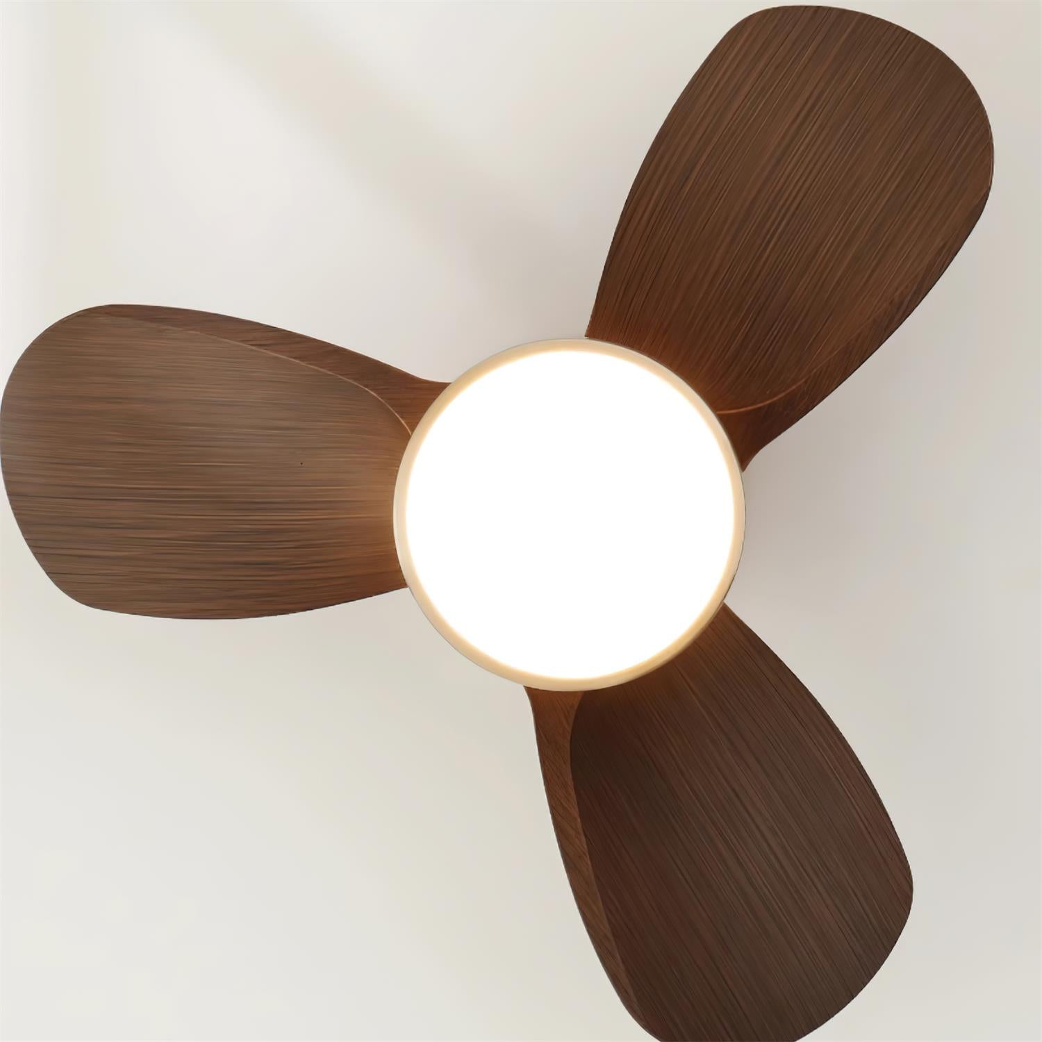 Talaya Ceiling Fan Light