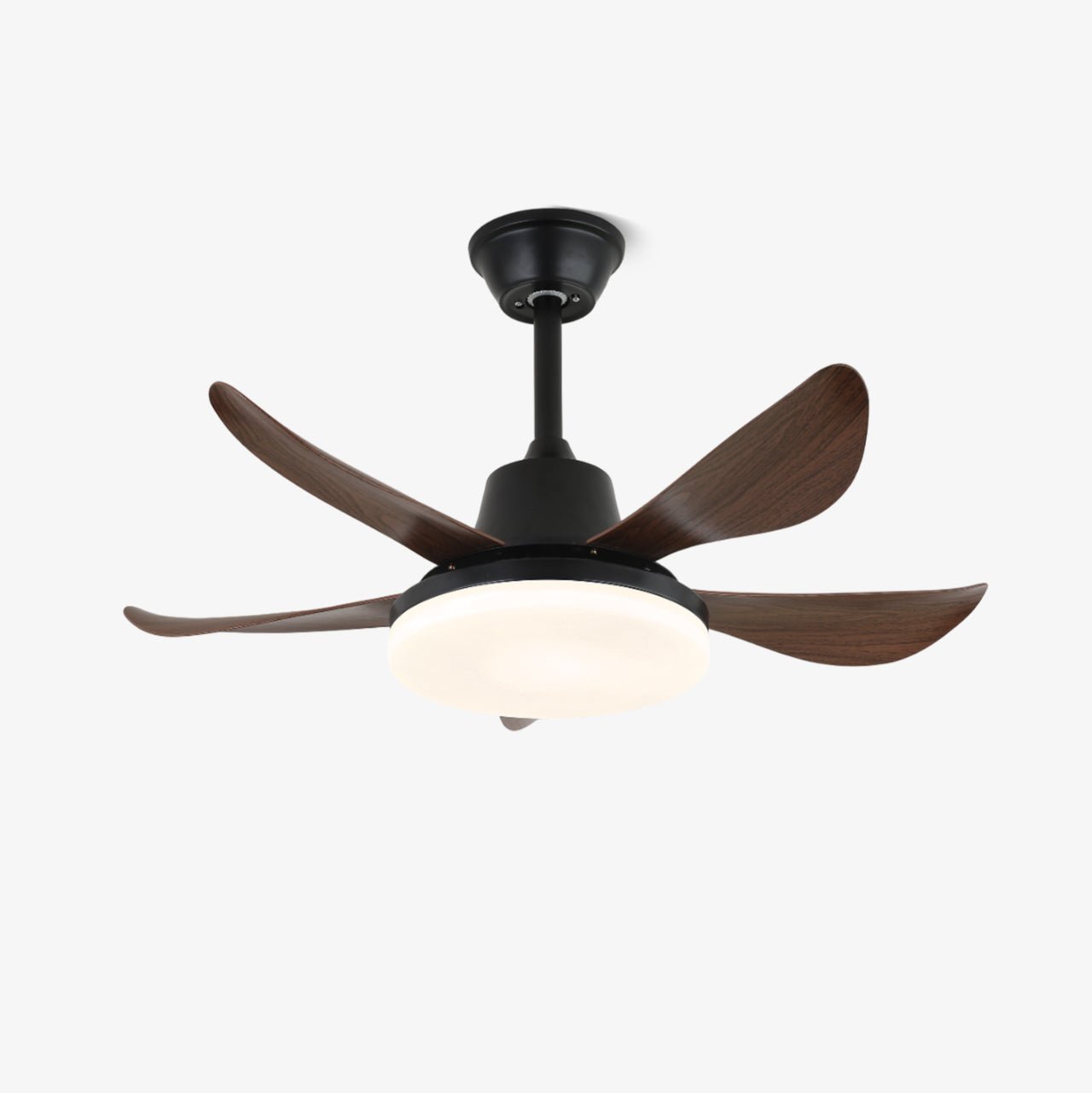 Lucas Ceiling Fan Light