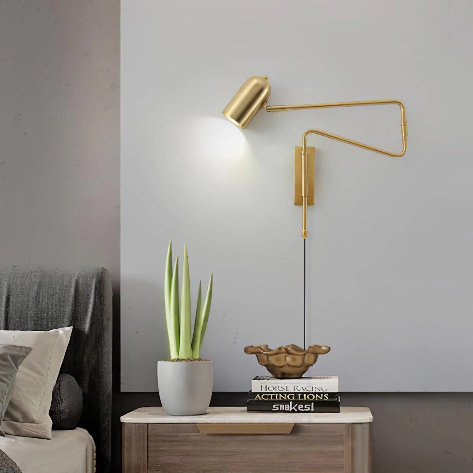 Adjustable Arm Plug In Wall Lamp