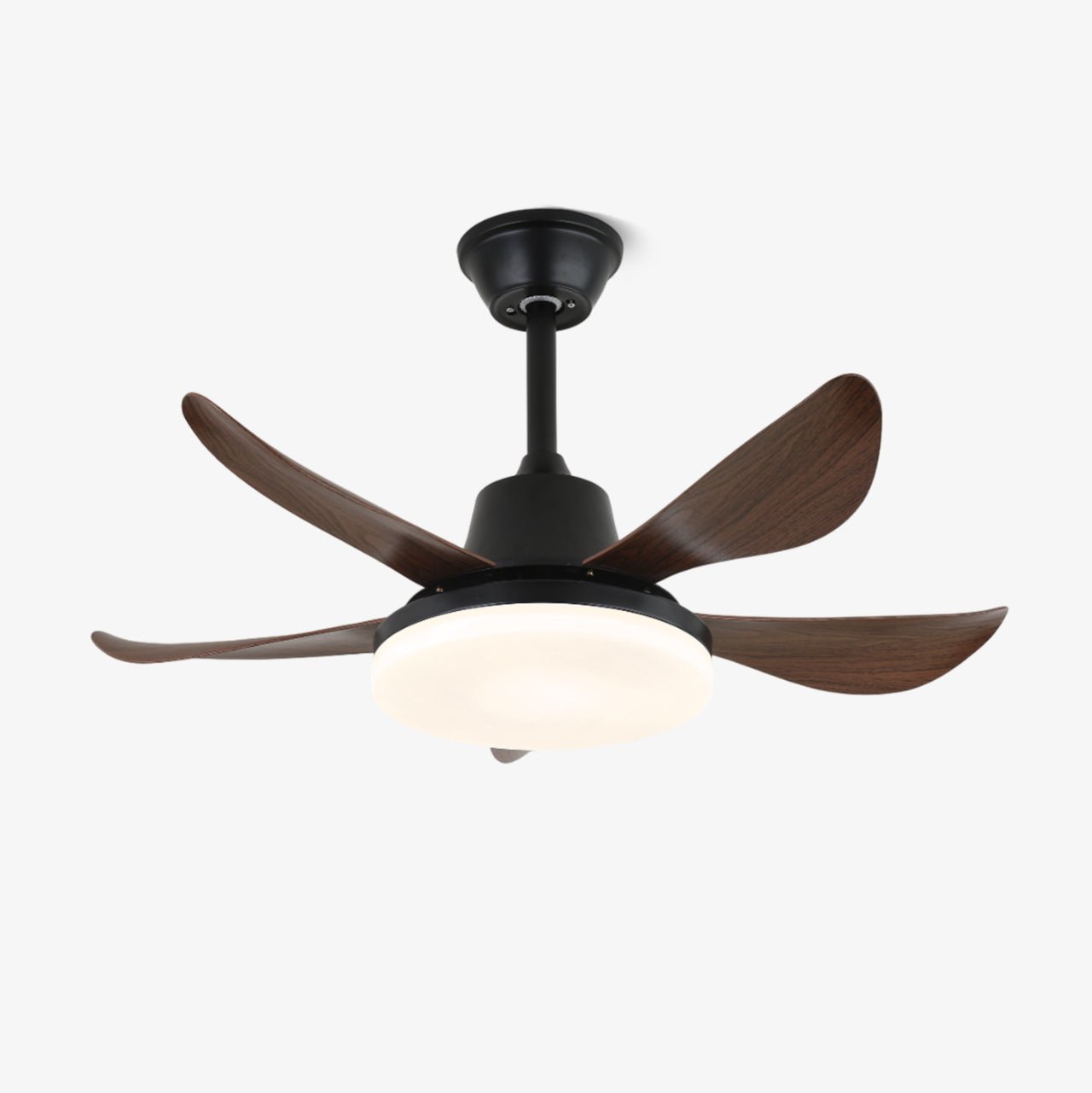 Lucas Ceiling Fan Light