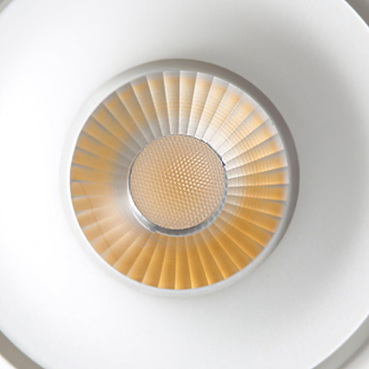 Paloma Ceiling Light