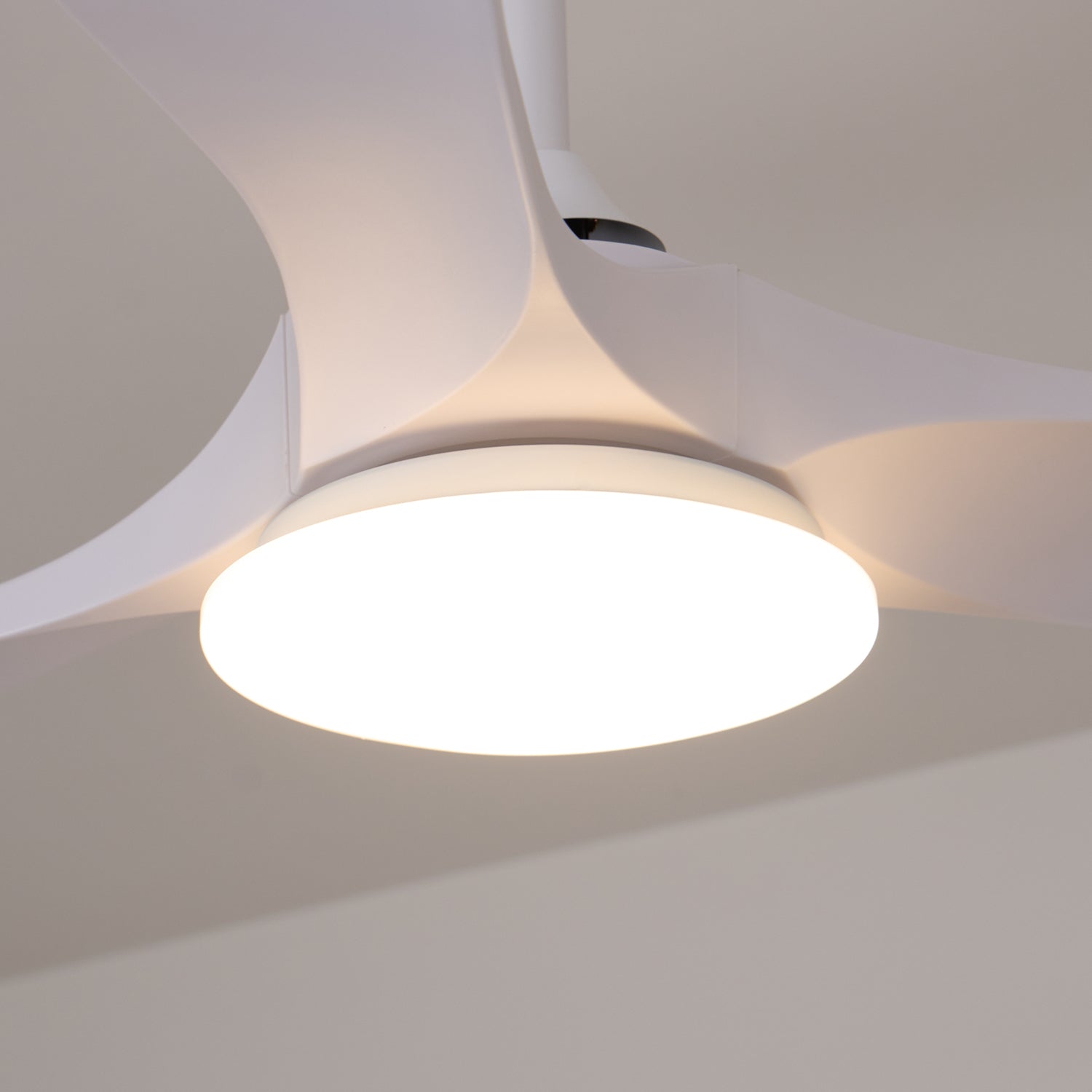 Maverick 42/52 Ceiling Fan Light