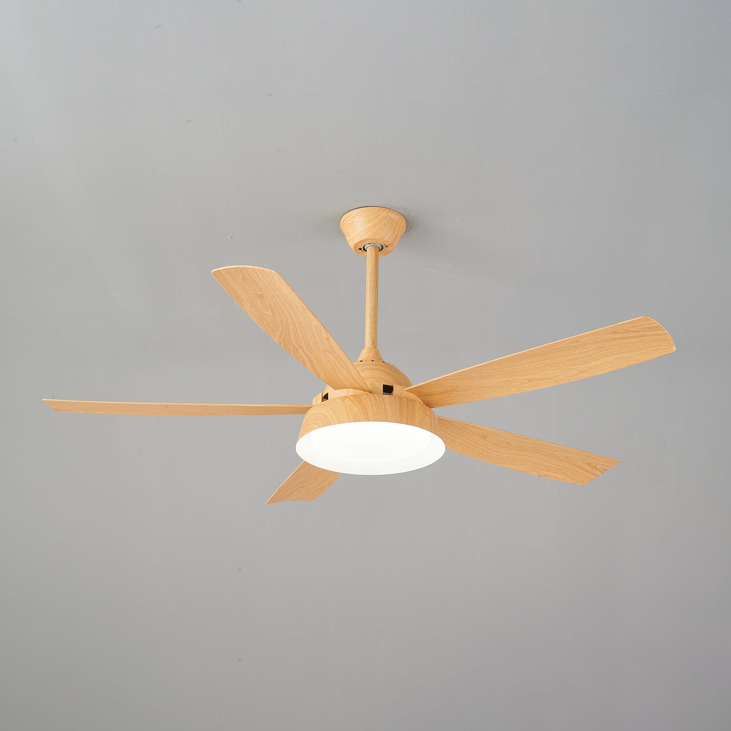 Elysian Ceiling Fan Light