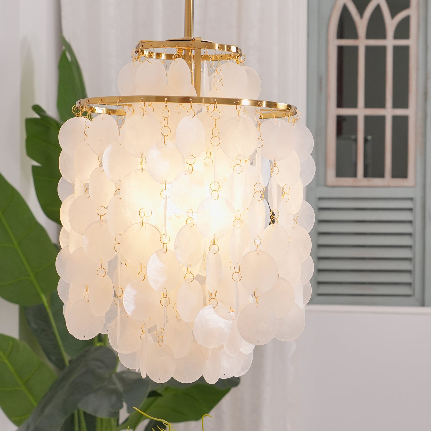 Round Shell Chandelier