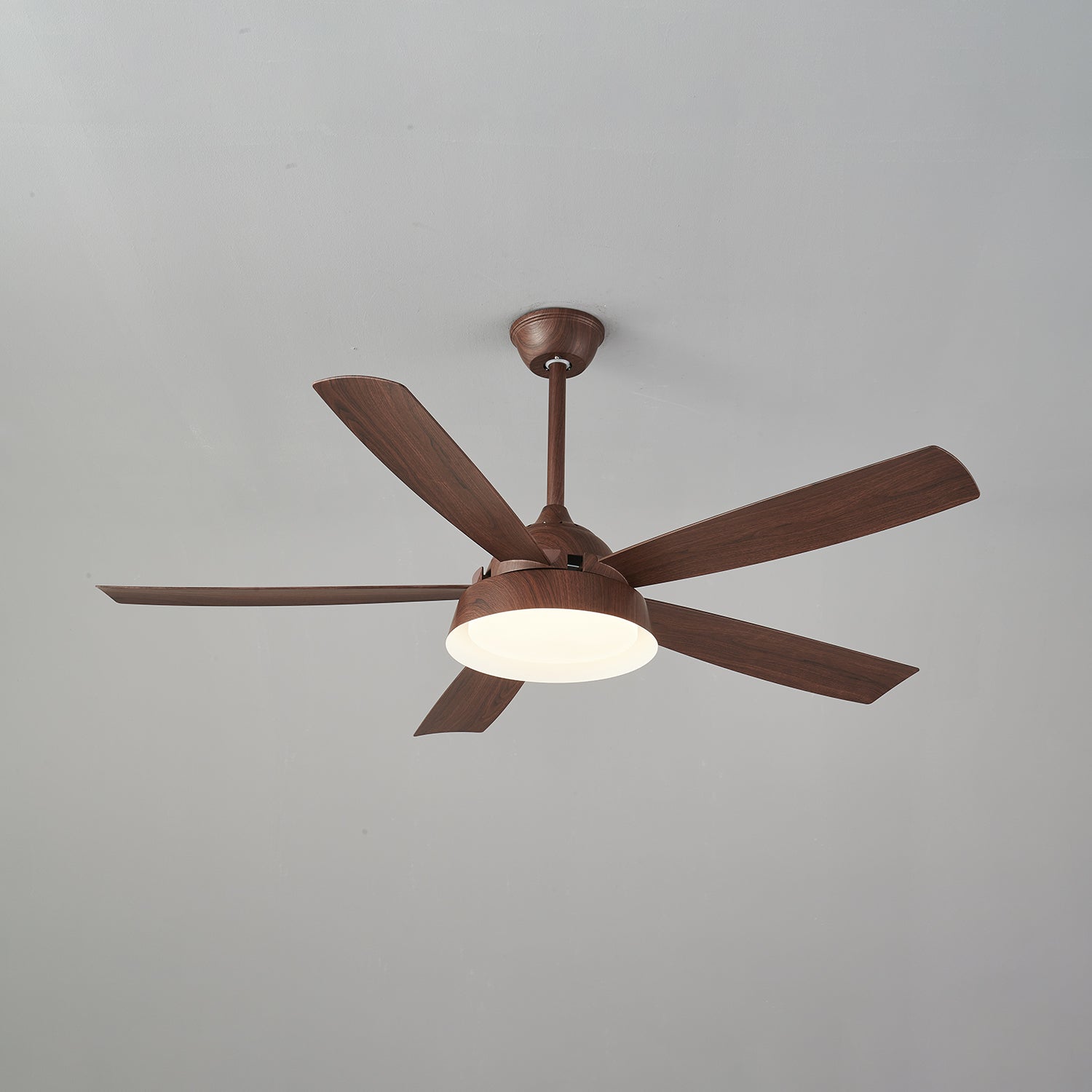 Elysian Ceiling Fan Light