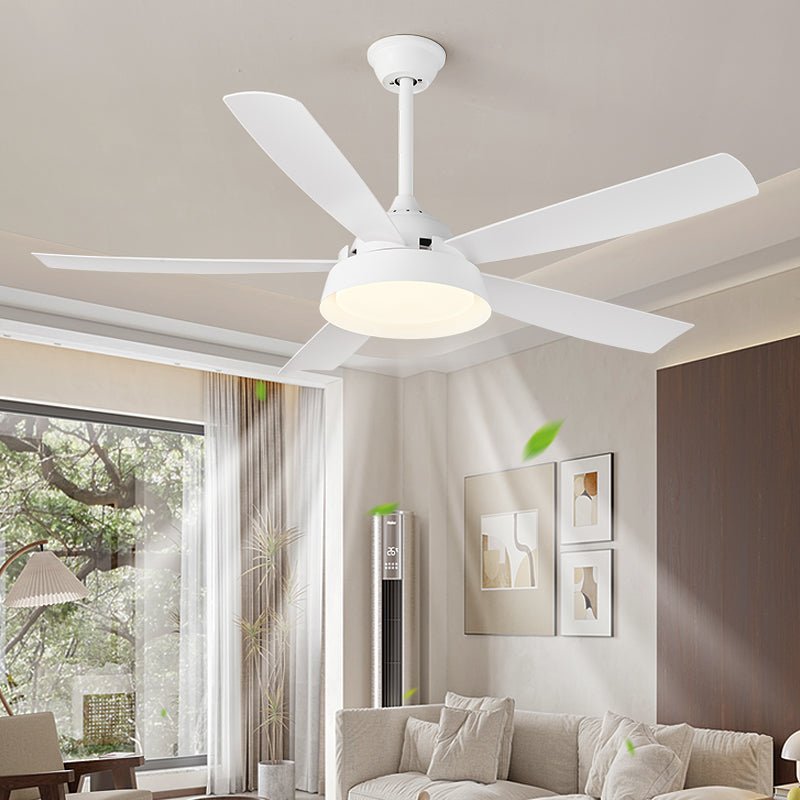 Elysian Ceiling Fan Light