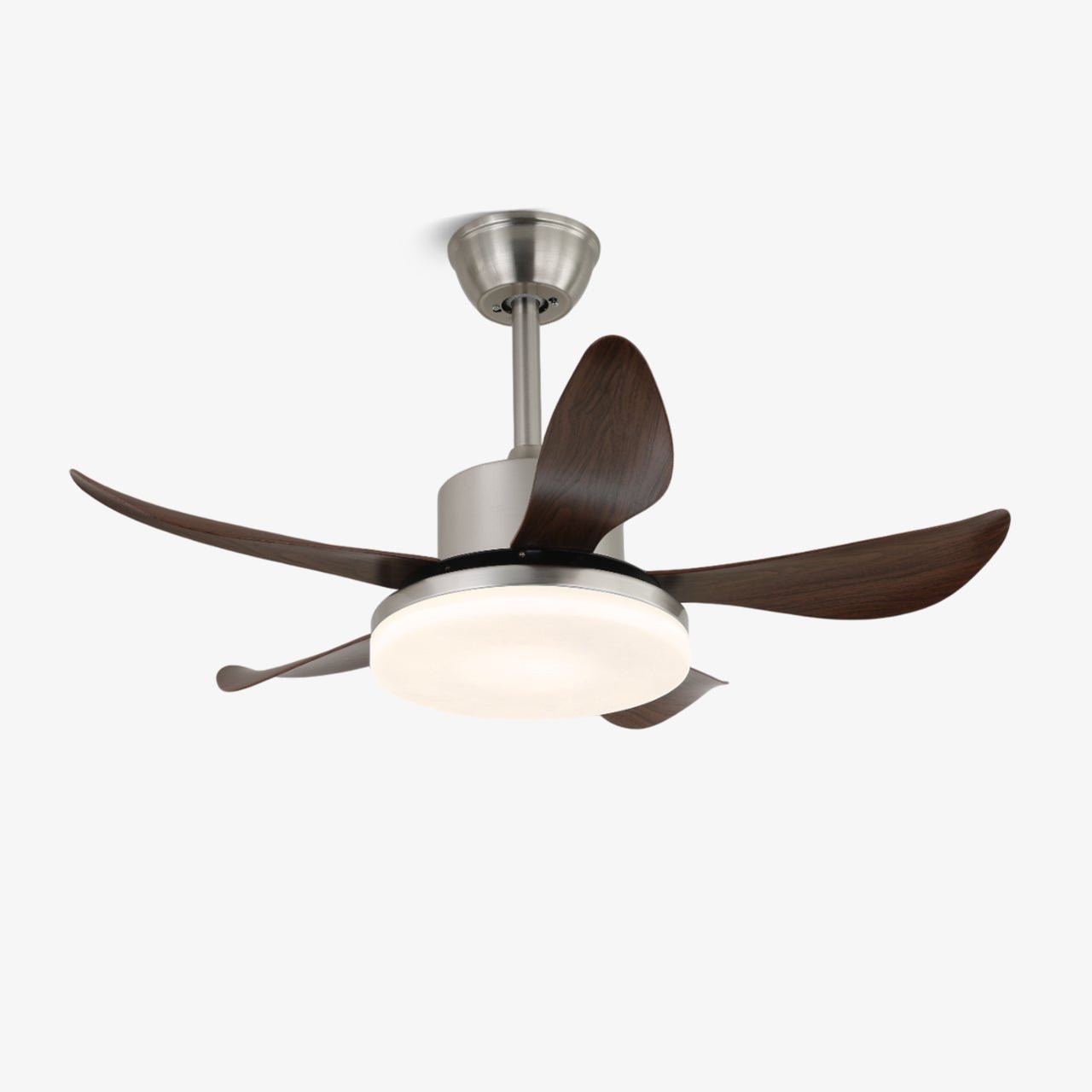 Oliver Ceiling Fan Light