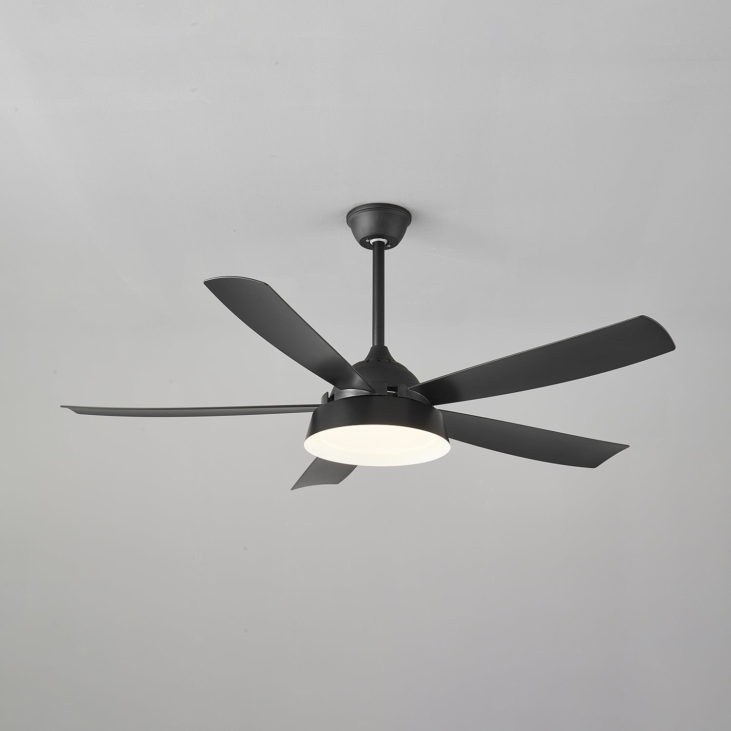 Elysian Ceiling Fan Light