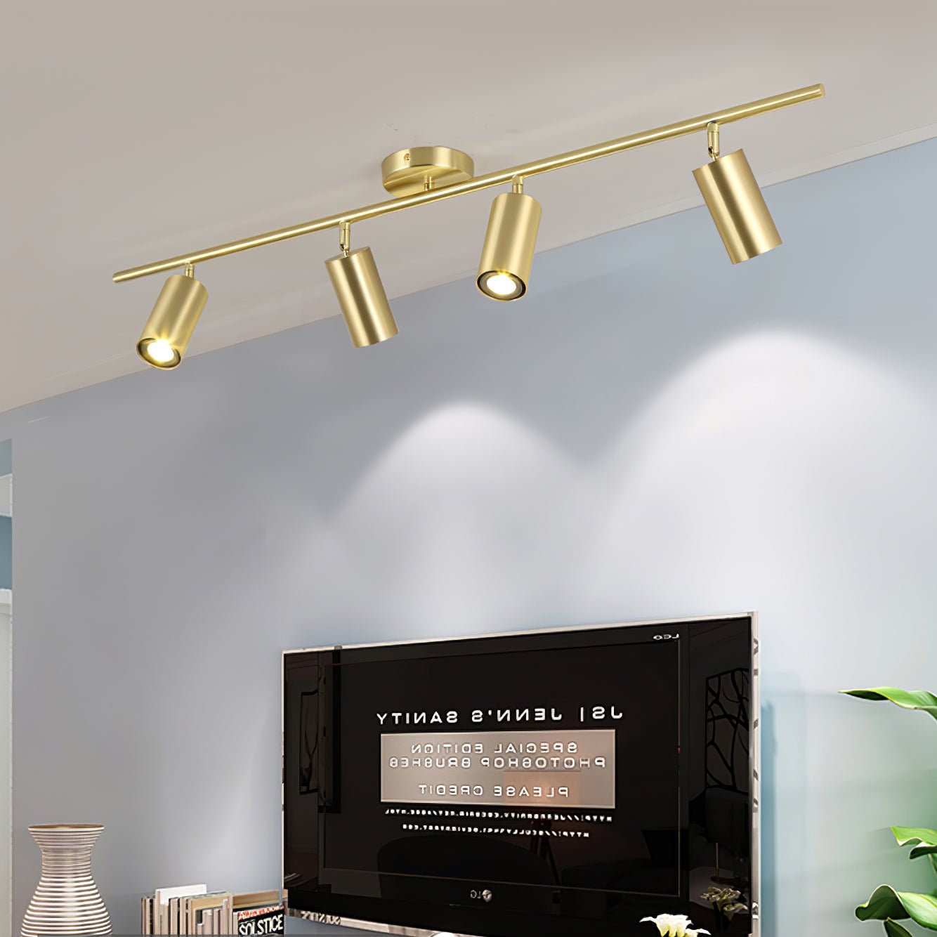 Evanna Ceiling Light