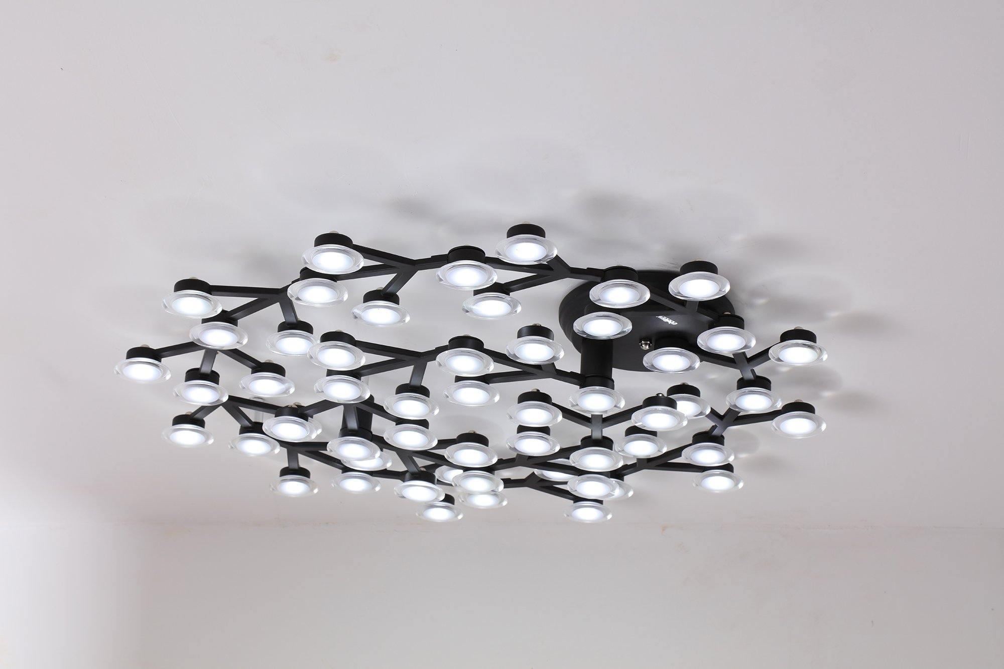 LED Net Ceiling Lamp