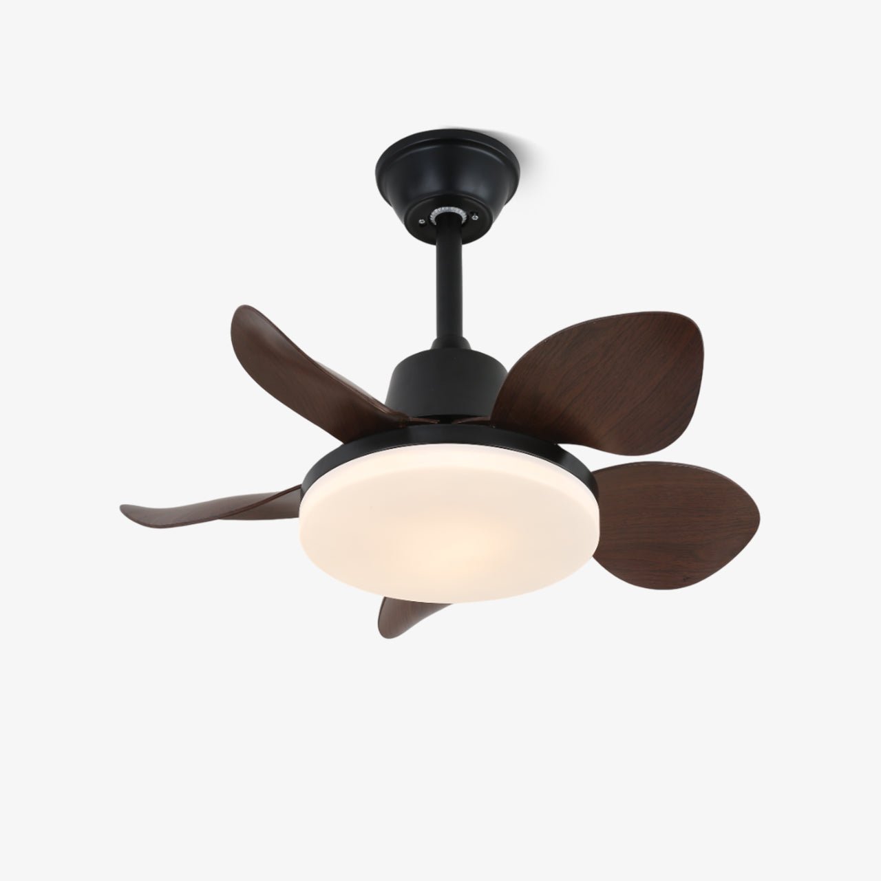 Amelia Ceiling Fan Light