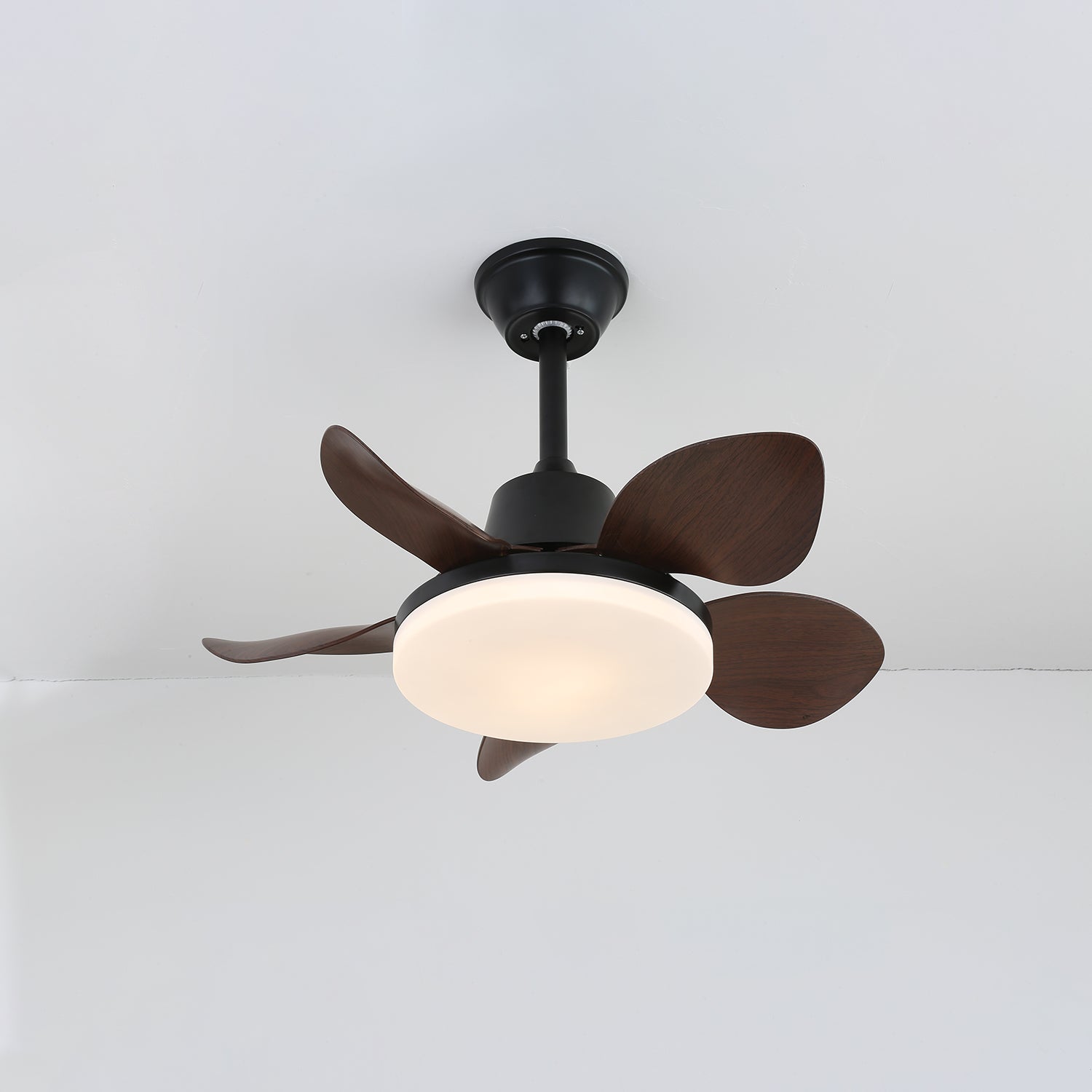 Amelia Ceiling Fan Light