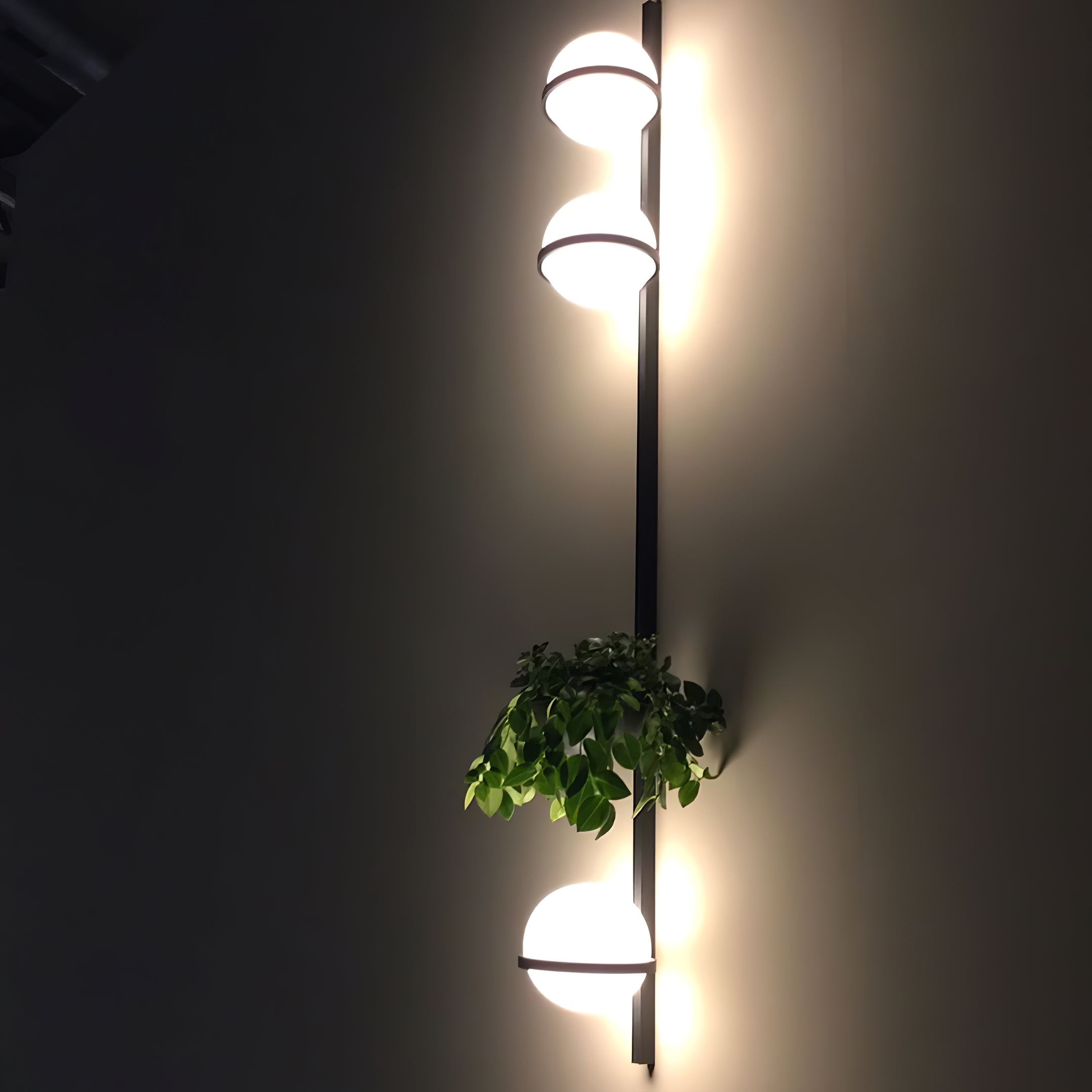 Solstice Wall Light