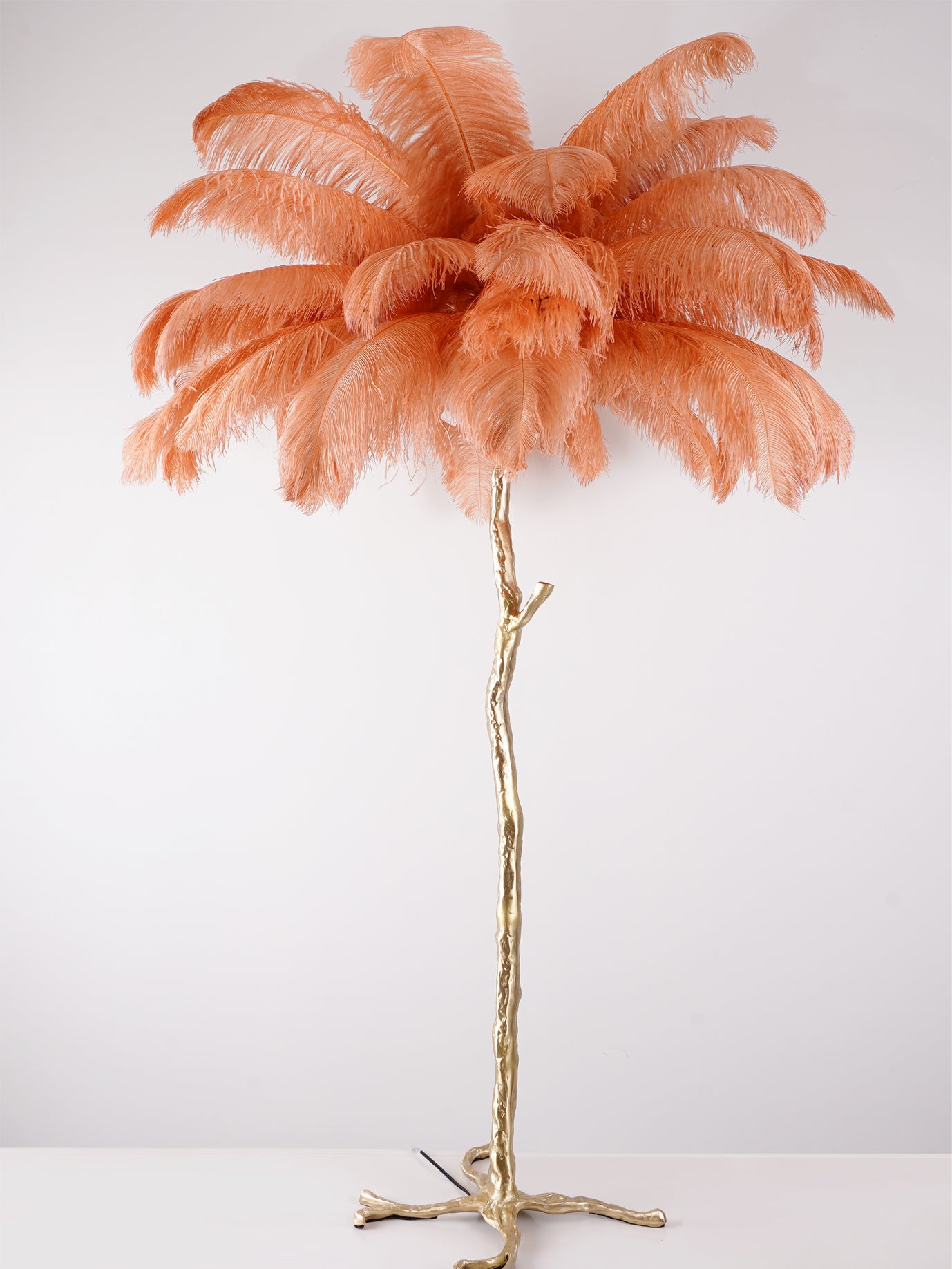 Ostrich Feather Brass Floor Lamp