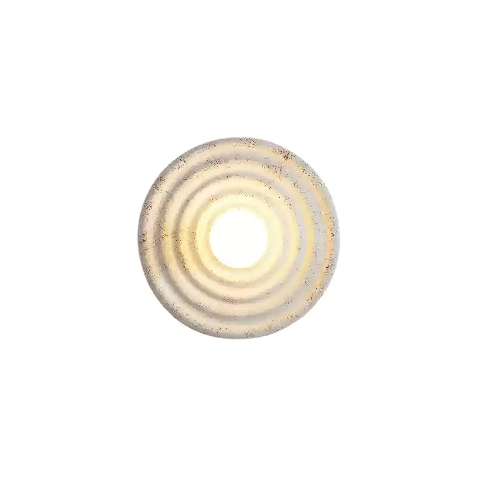 Seashell Resin Wall Lamp