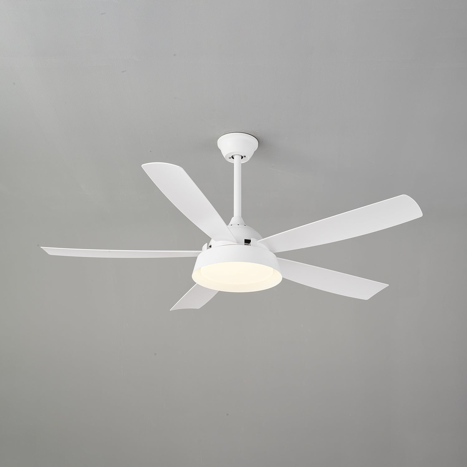 Elysian Ceiling Fan Light