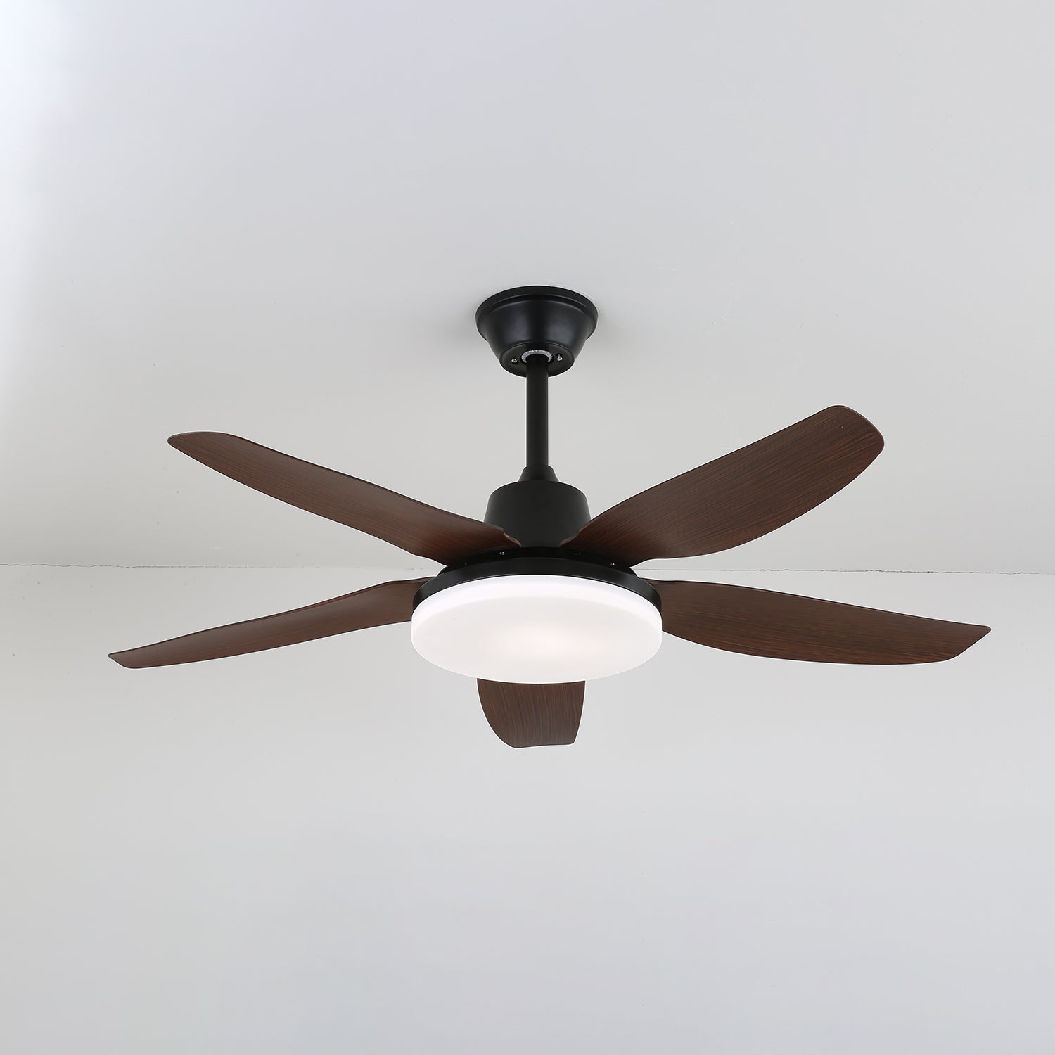 Felix Ceiling Fan Light