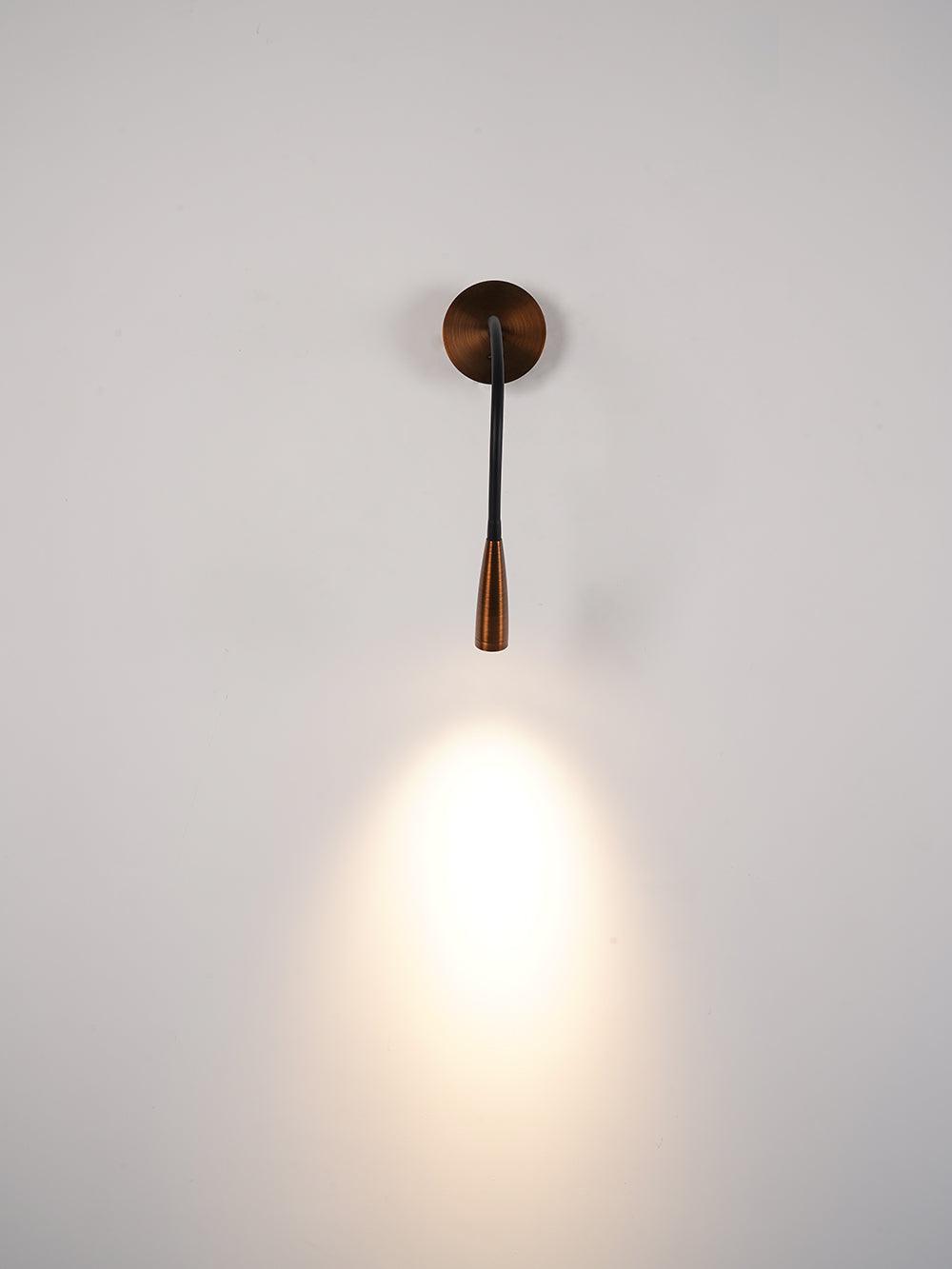 Flexi Hose Wall Light