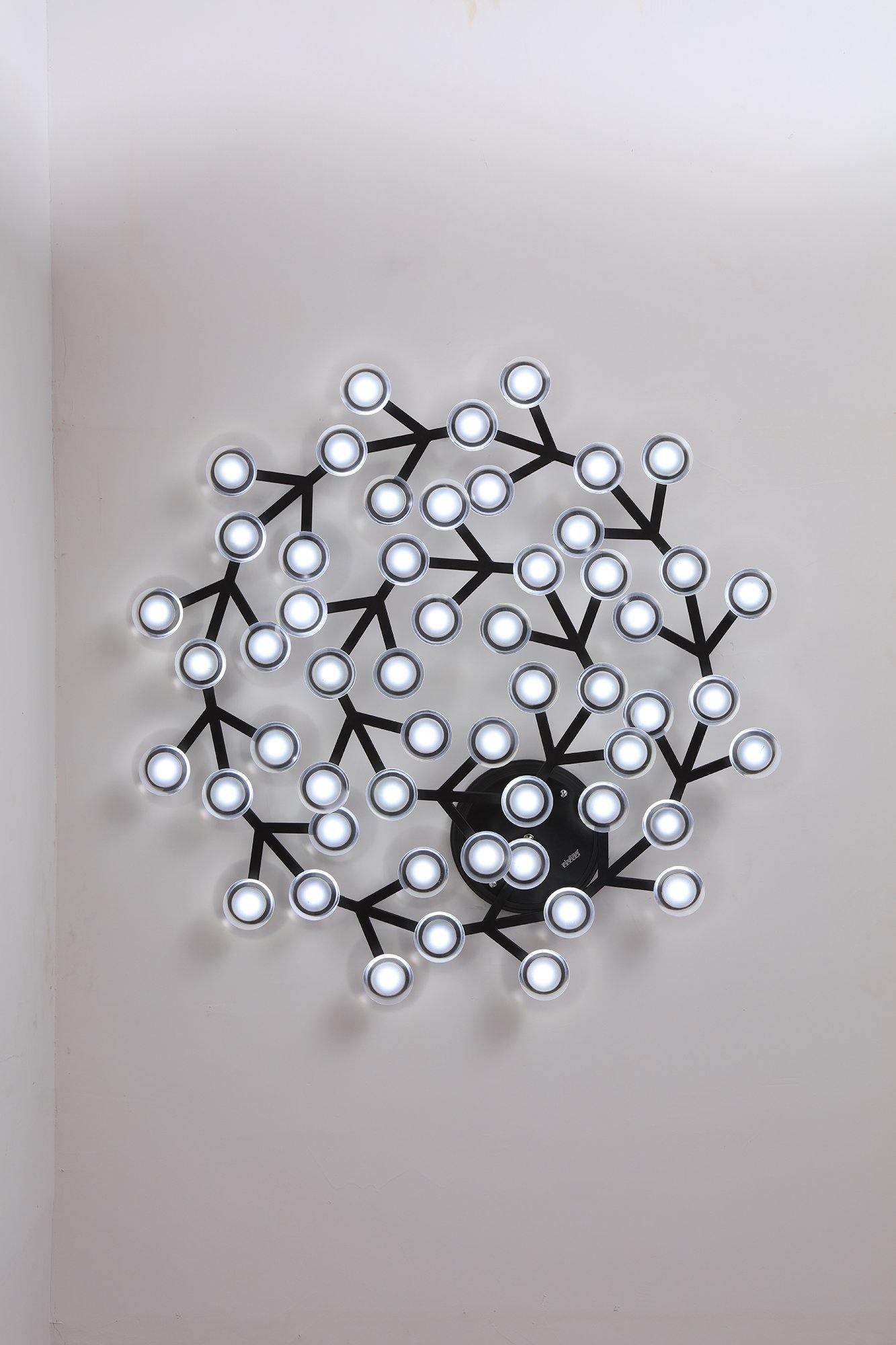 LED Net Ceiling Lamp