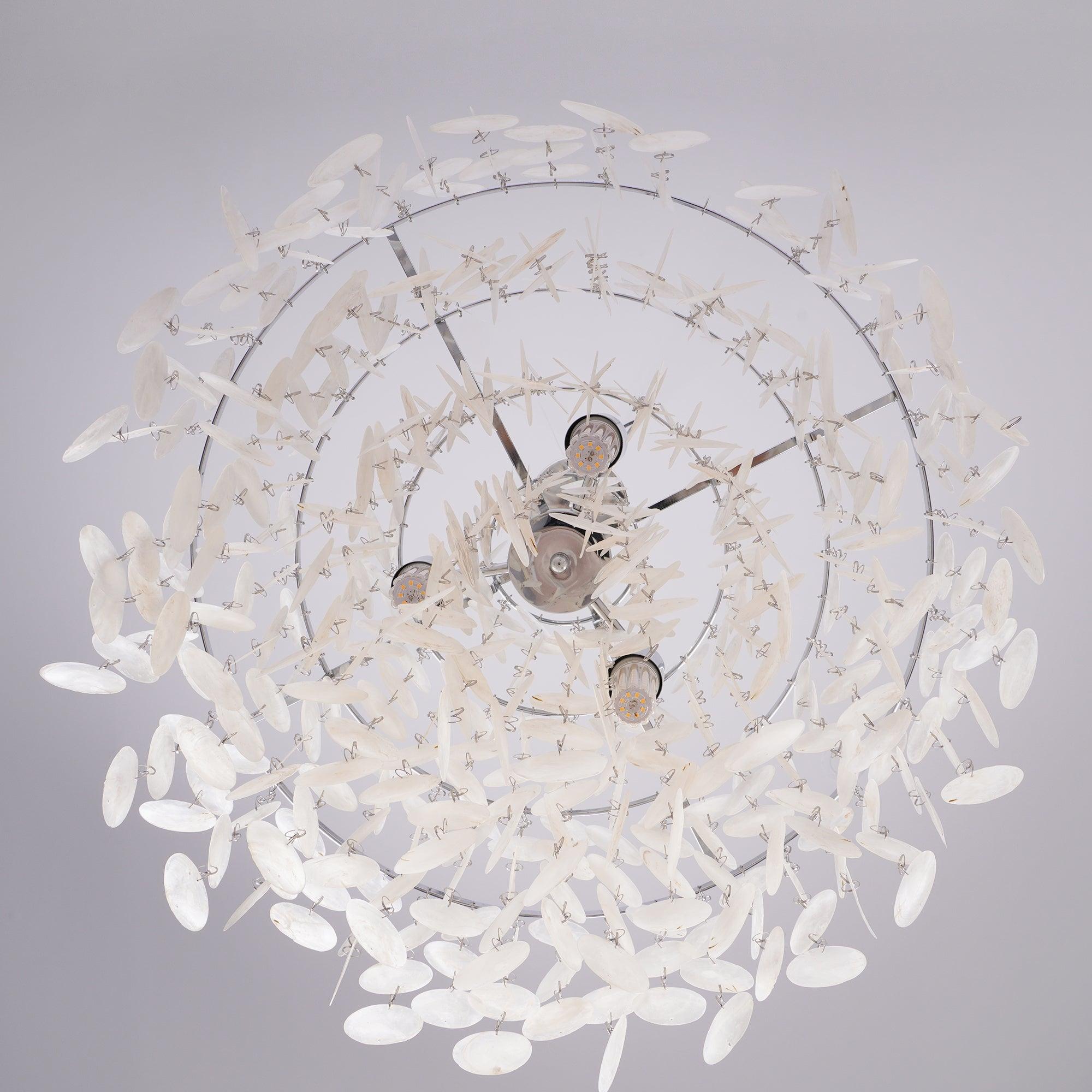 Round Shell Chandelier