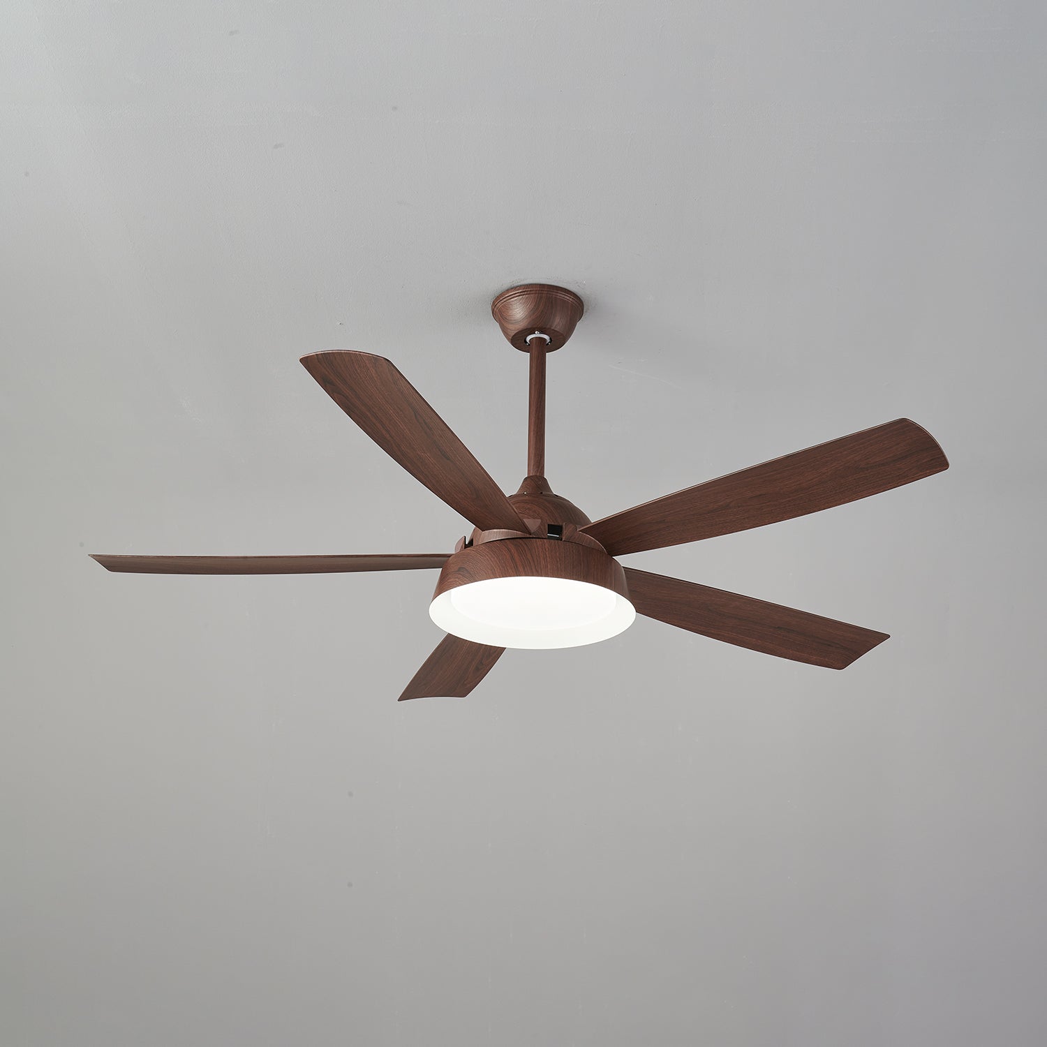 Elysian Ceiling Fan Light