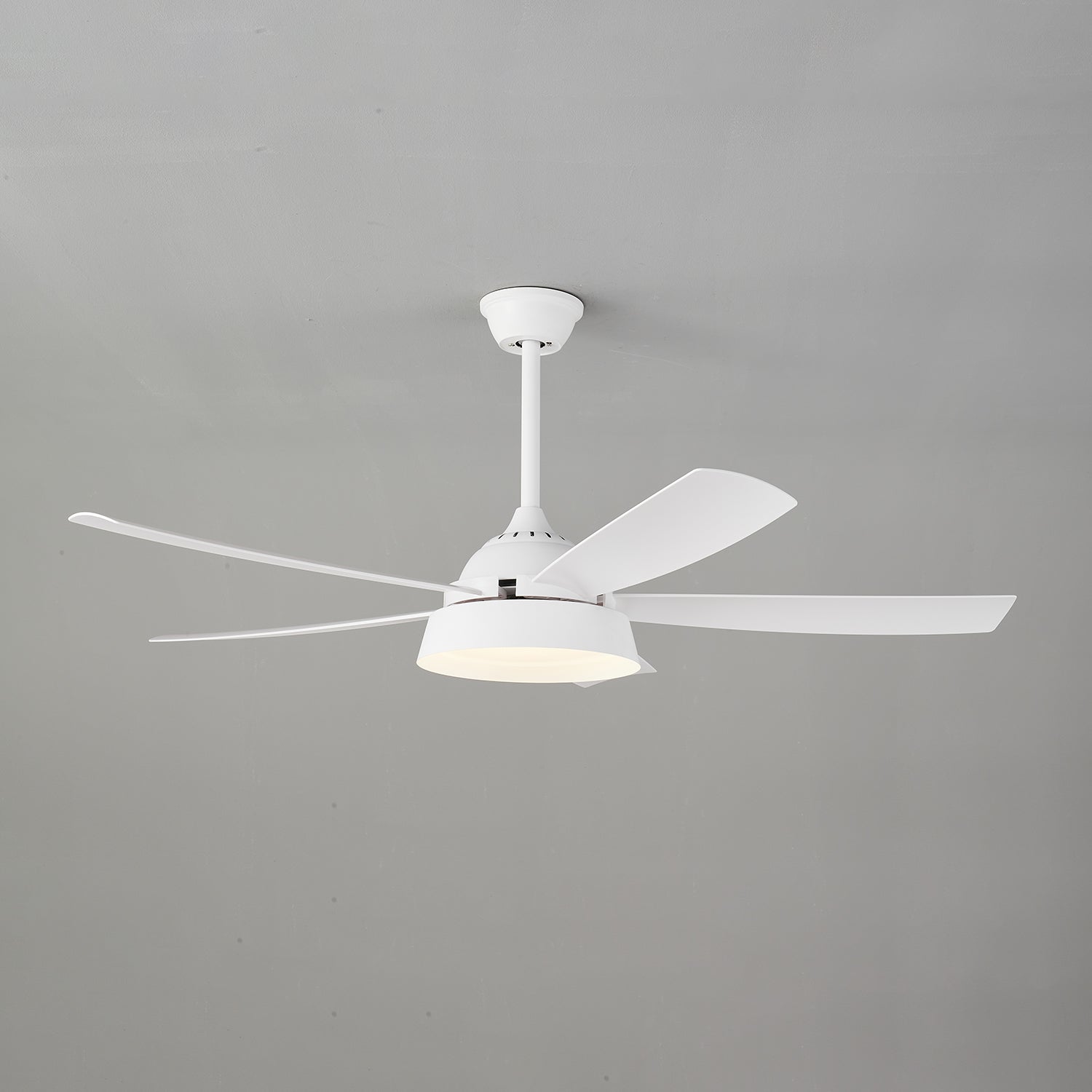 Elysian Ceiling Fan Light