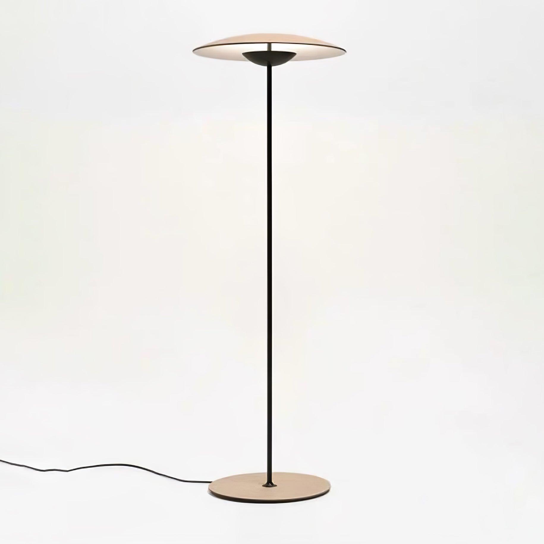 Innovative Directional Floor Lamp