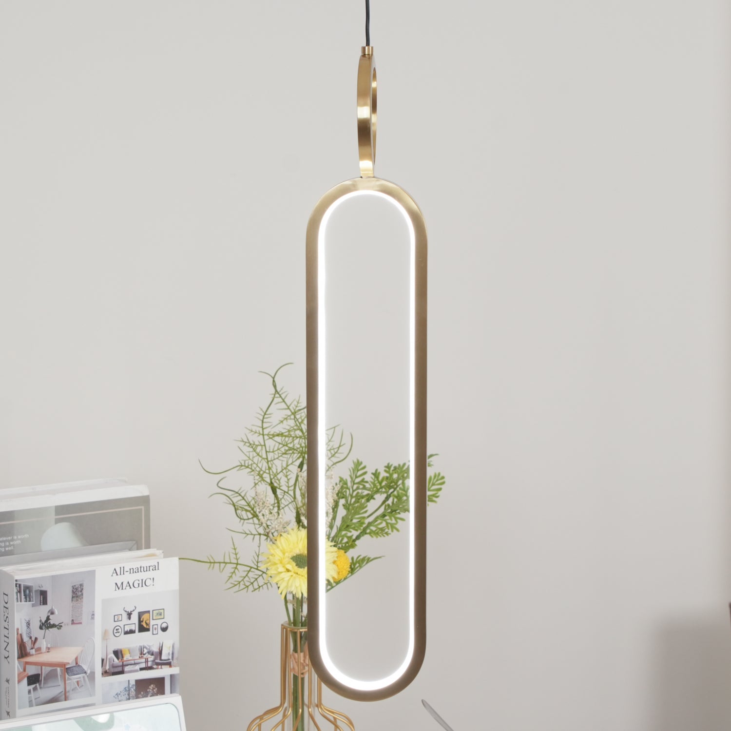 Oval Rings Pendant Light