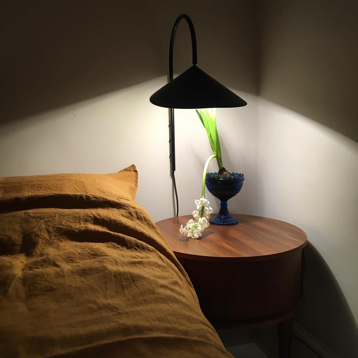 Arum Swivel Plug-in Wall Lamp